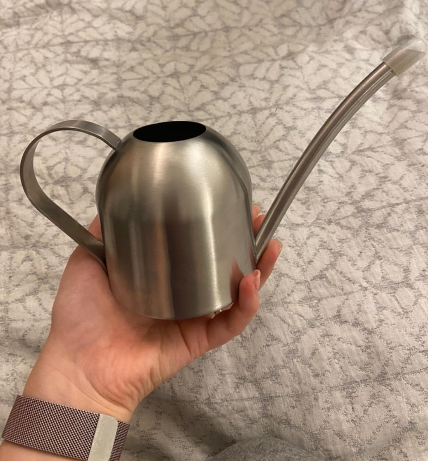 Watering Can for Indoor Plants, 30oz Long Spout Stainless Steel customer photo 1