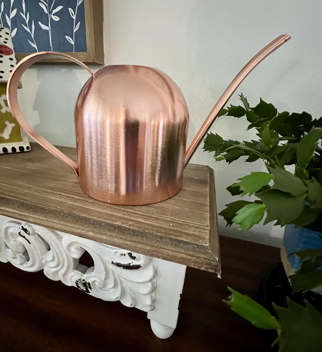 Watering Can for Indoor Plants, 30oz Long Spout Stainless Steel customer photo 2