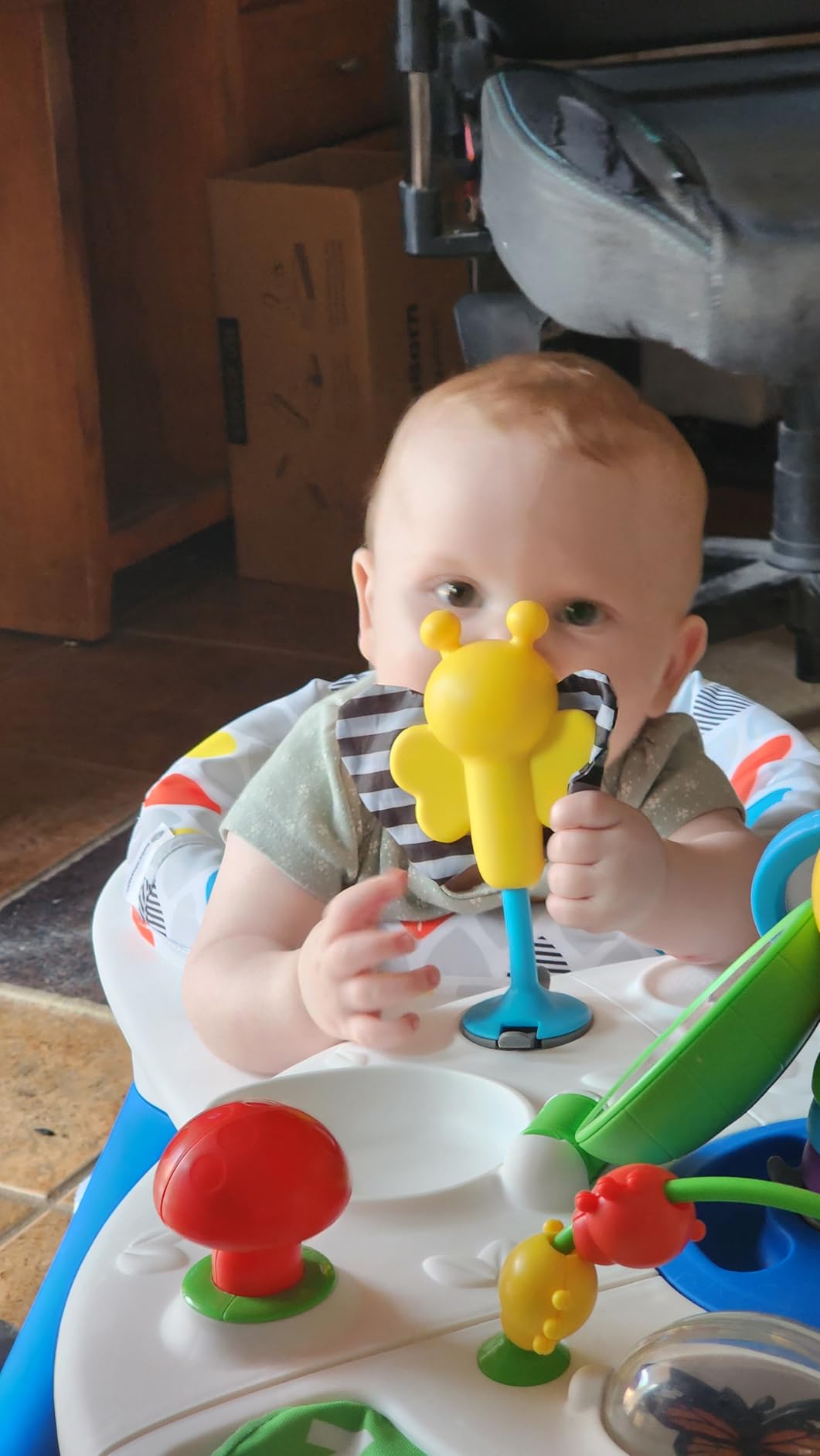 Baby Einstein 4-in-1 Activity Center & Walker with Piano, Age 6M+ | 4 ways to grow: walker, discovery table, art table & floor play—entertains babies 6-36 months with 15+ activities customer photo 2