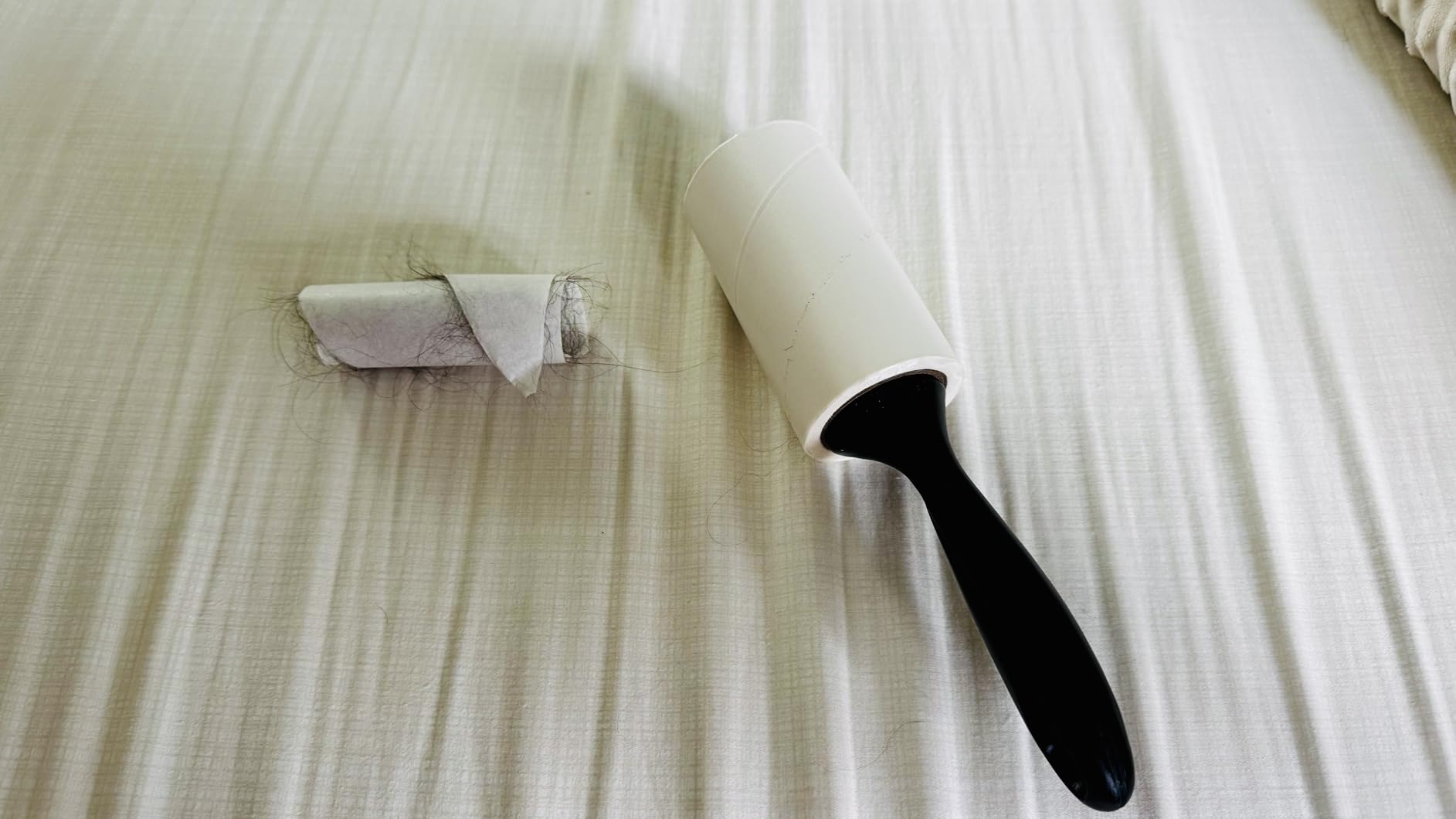 Lint Rollers for Pet Hair, White, Sticky Remover for Couch, Clothes, Furniture and Carpet, Dog and Cat Fur Remover, Animal Fuzz, 5 Large Sticky Rollers customer photo 2
