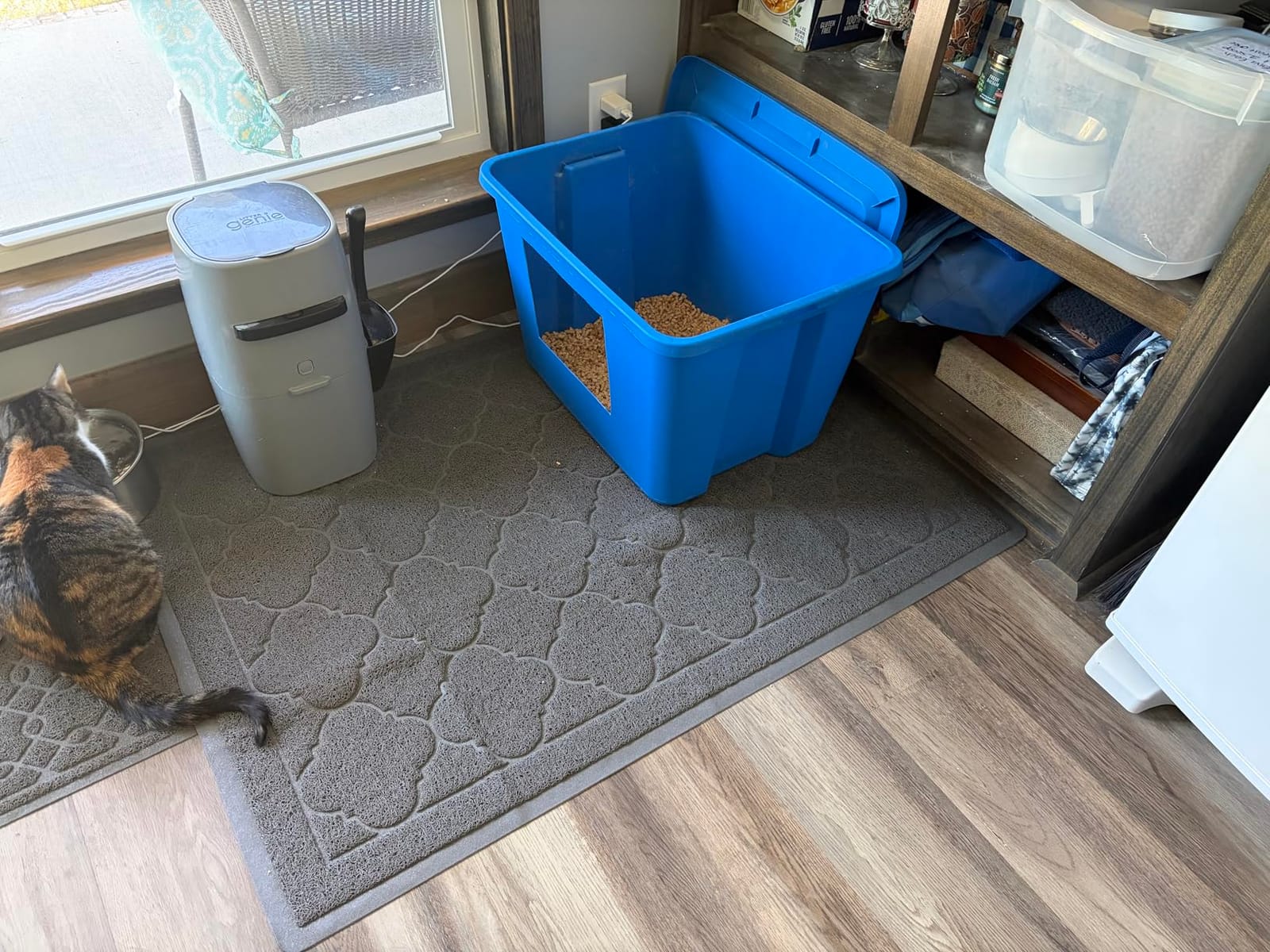 WePet Cat Litter Box Mat, Kitty Premium PVC Pad, Durable Trapping Rug, Phthalate Free, Urine-Resistant, Scatter Control, XXL 47 x 36 Inch, Grey customer photo 1