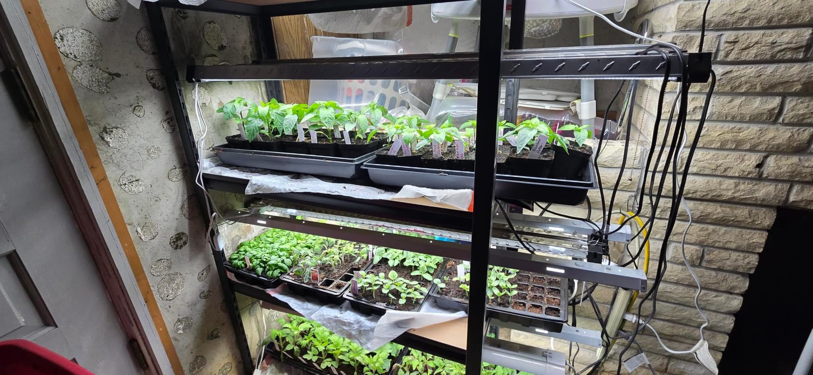 Gardzen 5-Set Seed Starter Tray Kits, Durable Plant Germination Trays with Humidity Vented Domes and Bases, Ideal for Seed Starting, Indoor Gardening, and Greenhouse (Total 200 Cells) customer photo 1