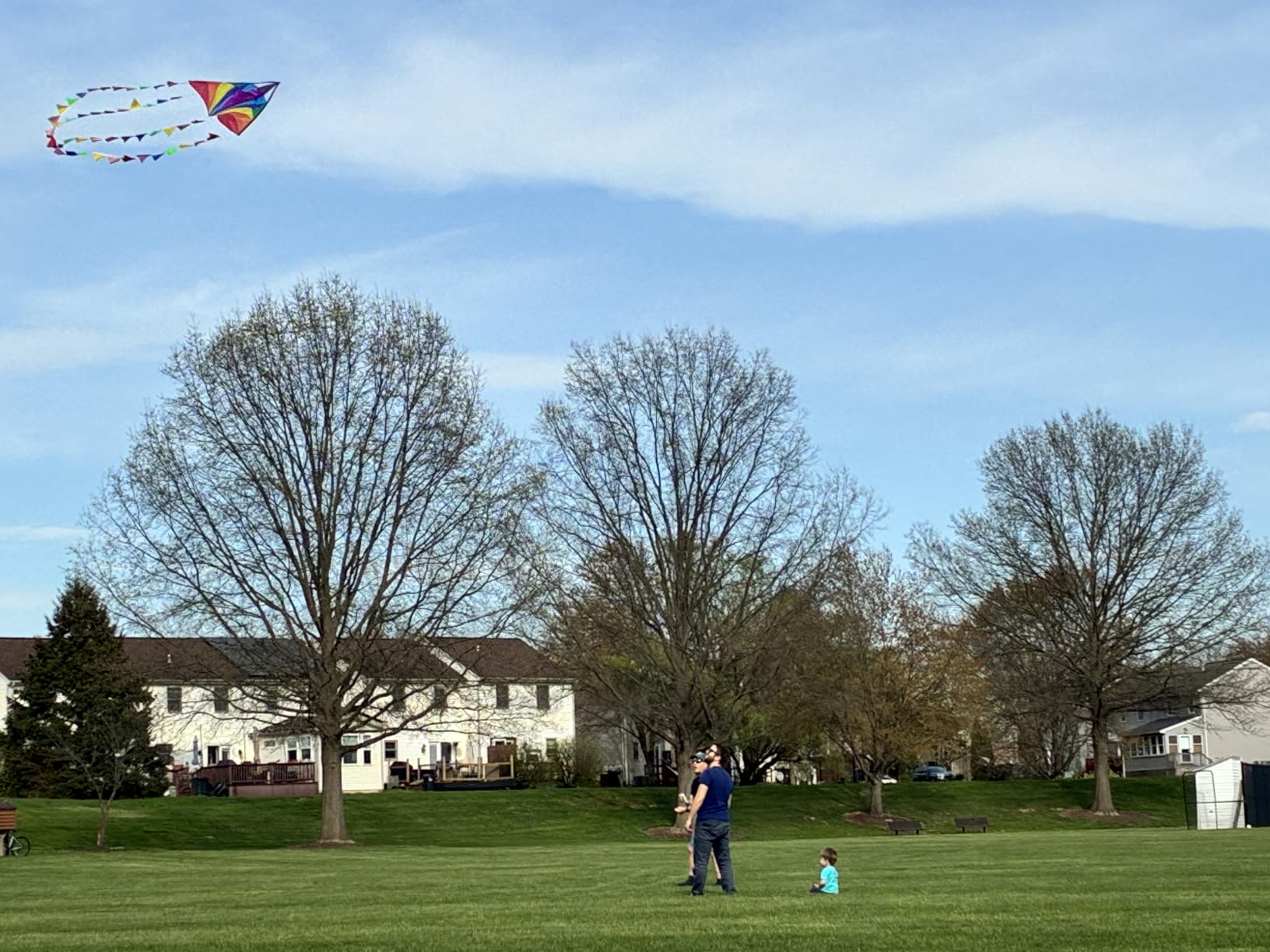 HONBO Large Delta Kite for Kids & Adults,Extremely Easy to Fly Kite for Beach Trip,String Line Included,with Colorful Tail,Perfect for Beginners customer photo 2