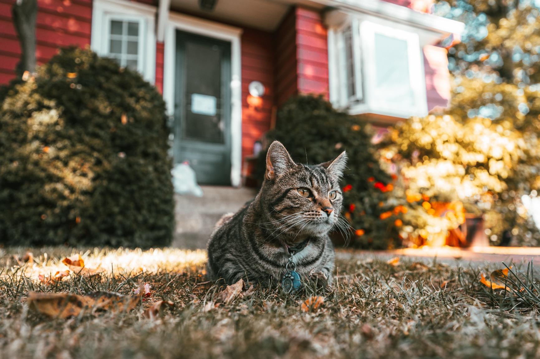 Tamron 17-28mm f/2.8 Di III RXD for Sony Mirrorless Full Frame/APS-C E Mount, Black (AFA046S700) customer photo 1