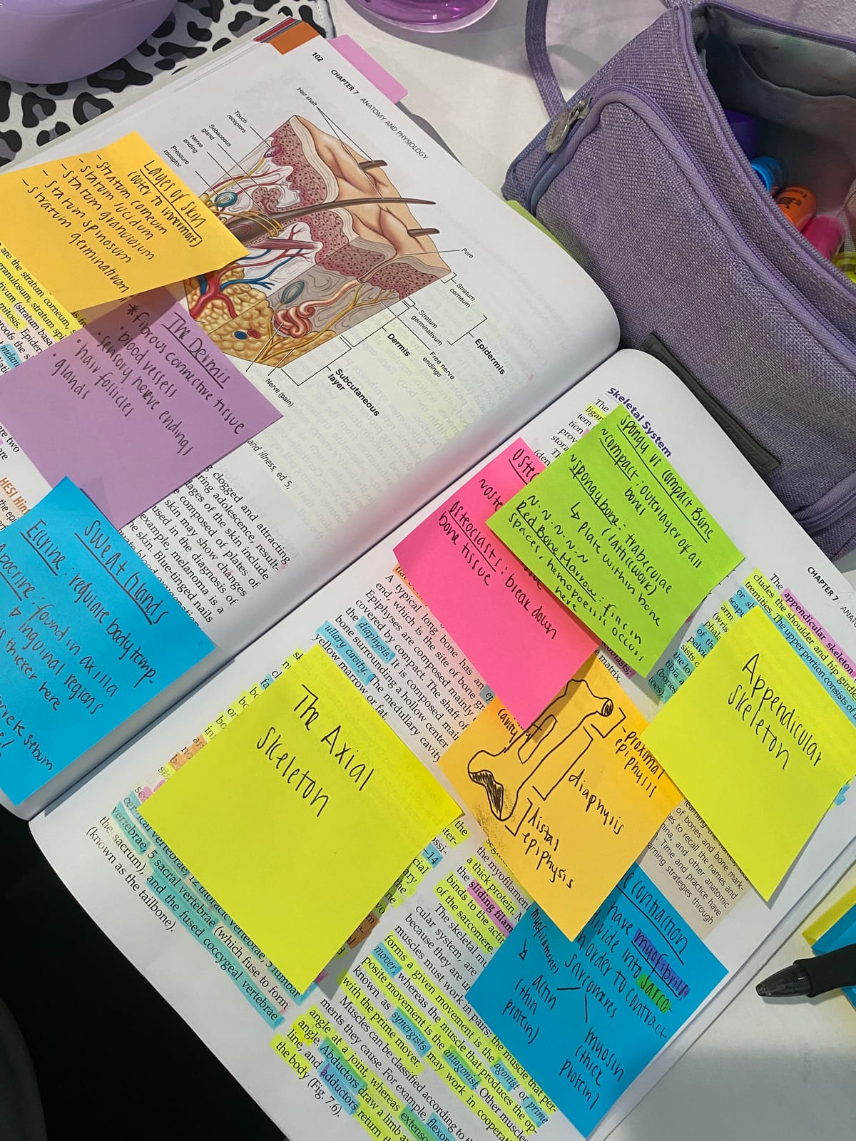 Sticky Notes 3x3 Inch, 6 Pack, Bright Colors, 100 Sheets/Pad, 600 Total customer photo 2