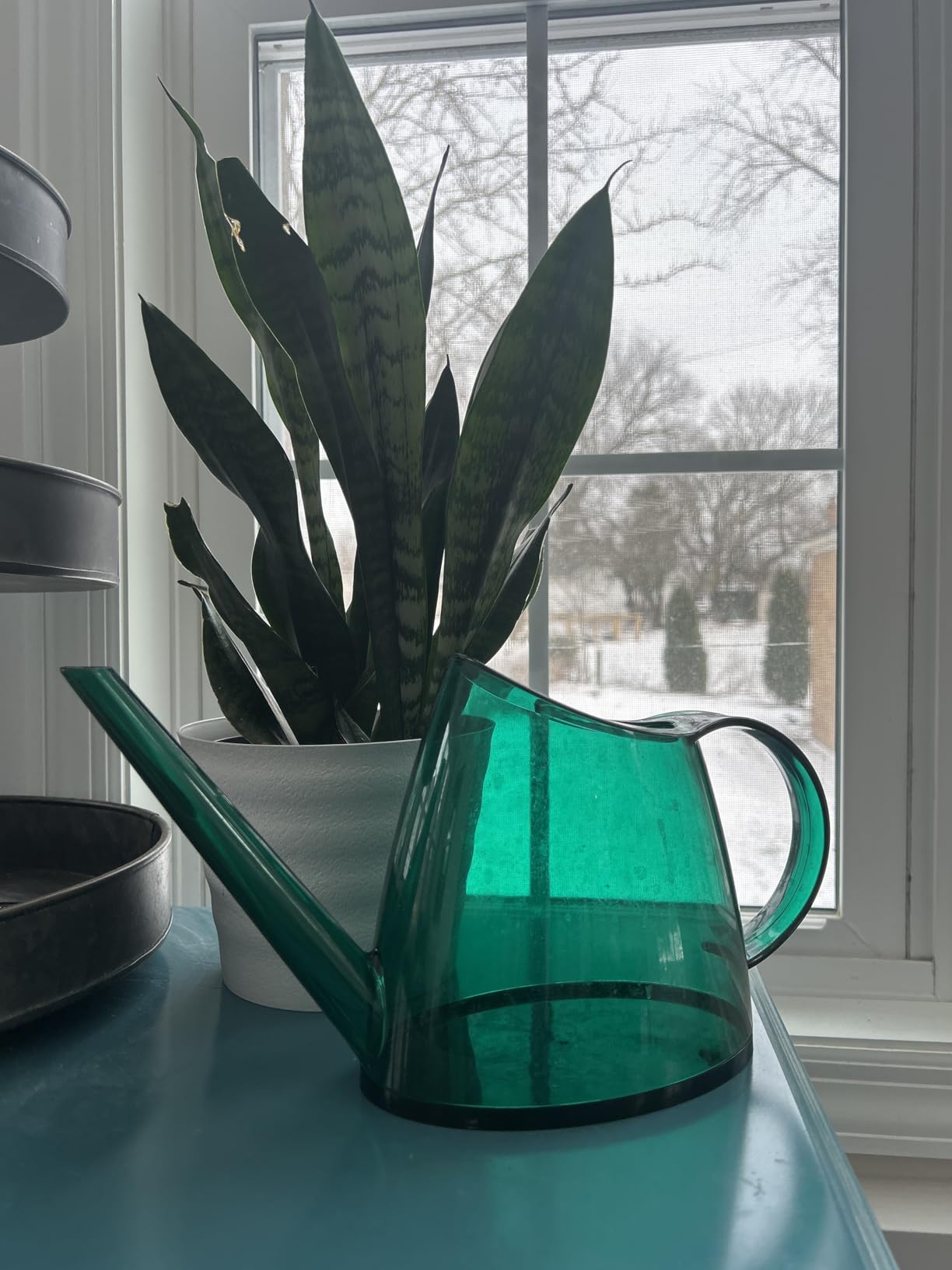 WhaleLife Small Indoor Plant Watering Can - 1.4L Dark Green Long Spout customer photo 1