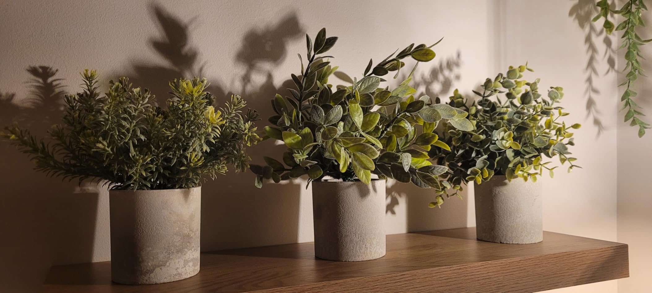 Der Rose 3 Pack Fake Plants Artificial Plants for Office Bathroom Decor customer photo 1