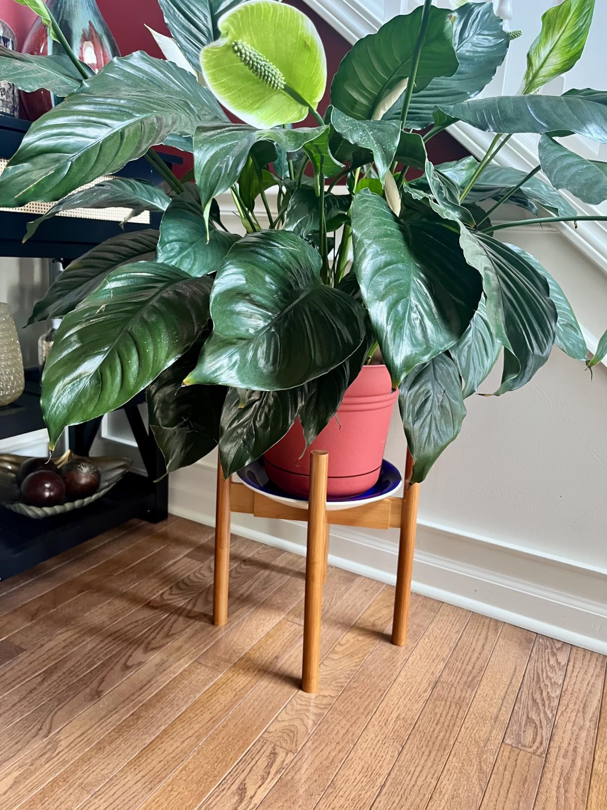 MUDEELA Plant Stand for Indoor, Bamboo Material, Dark Brown, 14.5 Inch Tall customer photo 1