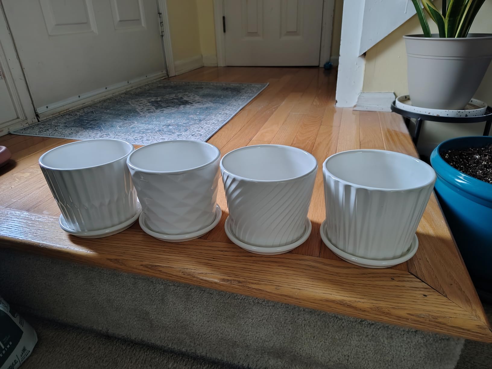sietpoek 5.5” Ceramic Plant Pots with Drainage and Saucer 4PCs White customer photo 2