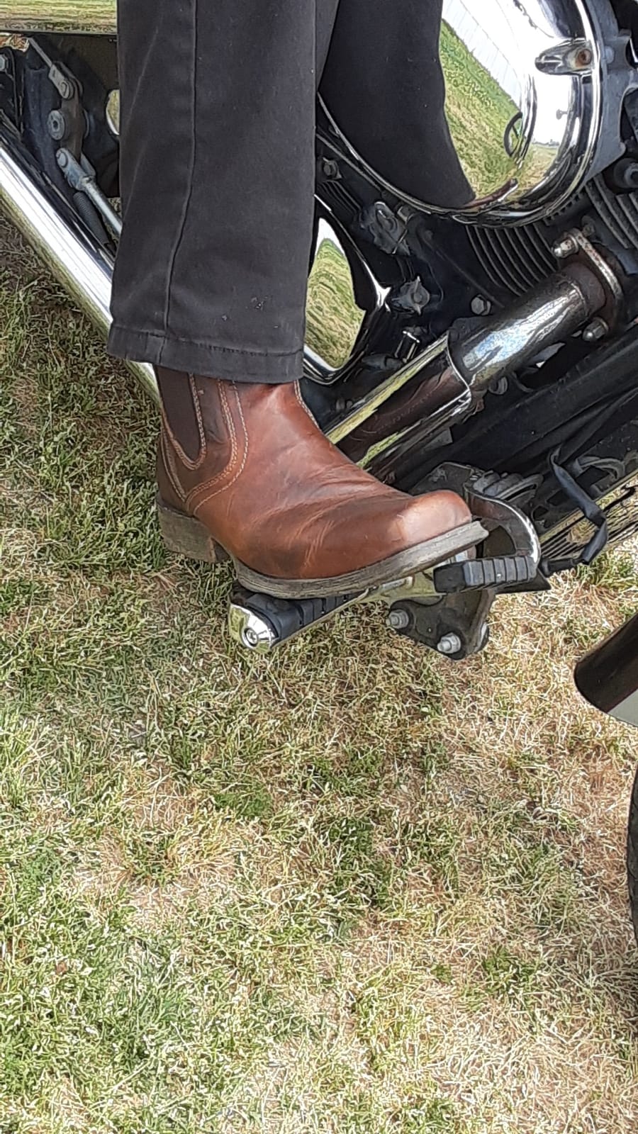 ARIAT Midtown Rambler customer photo 2