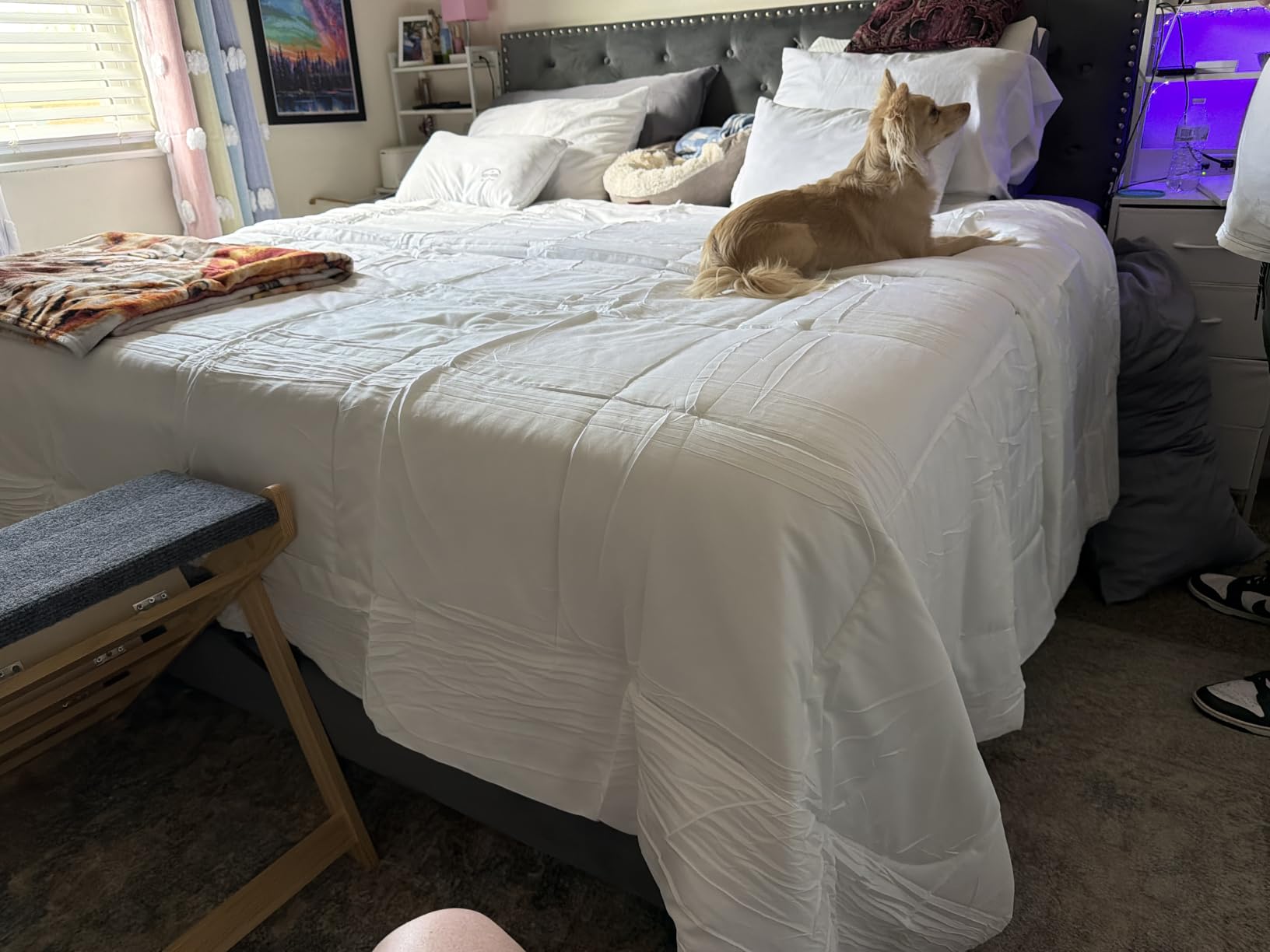 Bedsure Comforter Duvet Insert, Quilted Bedding Blanket, Oeko-TEX | People & Editor-Tested Comforter, Down Alternative Fill, 8 Corner Tabs, Machine Washable, White, King 90x102 Inches customer photo 1