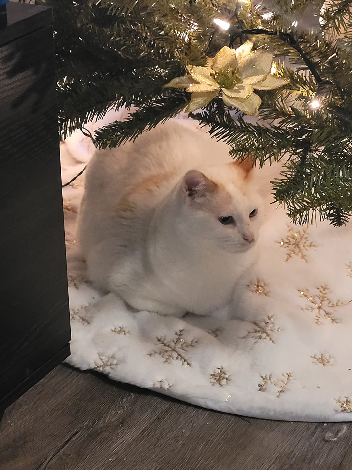 LOMOHOO Christmas Tree Skirt Large White&Gold Luxury Faux Fur with Snowflakes Tree Skirt Christmas Decorations Plush Tree Skirts Xmas Ornaments (Gold Snowflakes, 48 inches/122cm) customer photo 1
