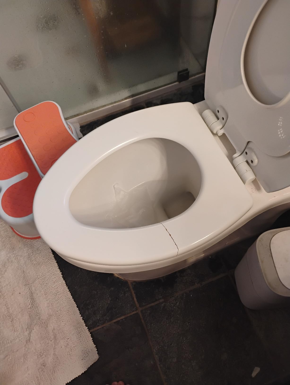 Mayfair NextStep2 Toilet Seat with Built-In Potty Training Seat, Slow-Close, Removable that will Never Loosen, Elongated, White customer photo 1