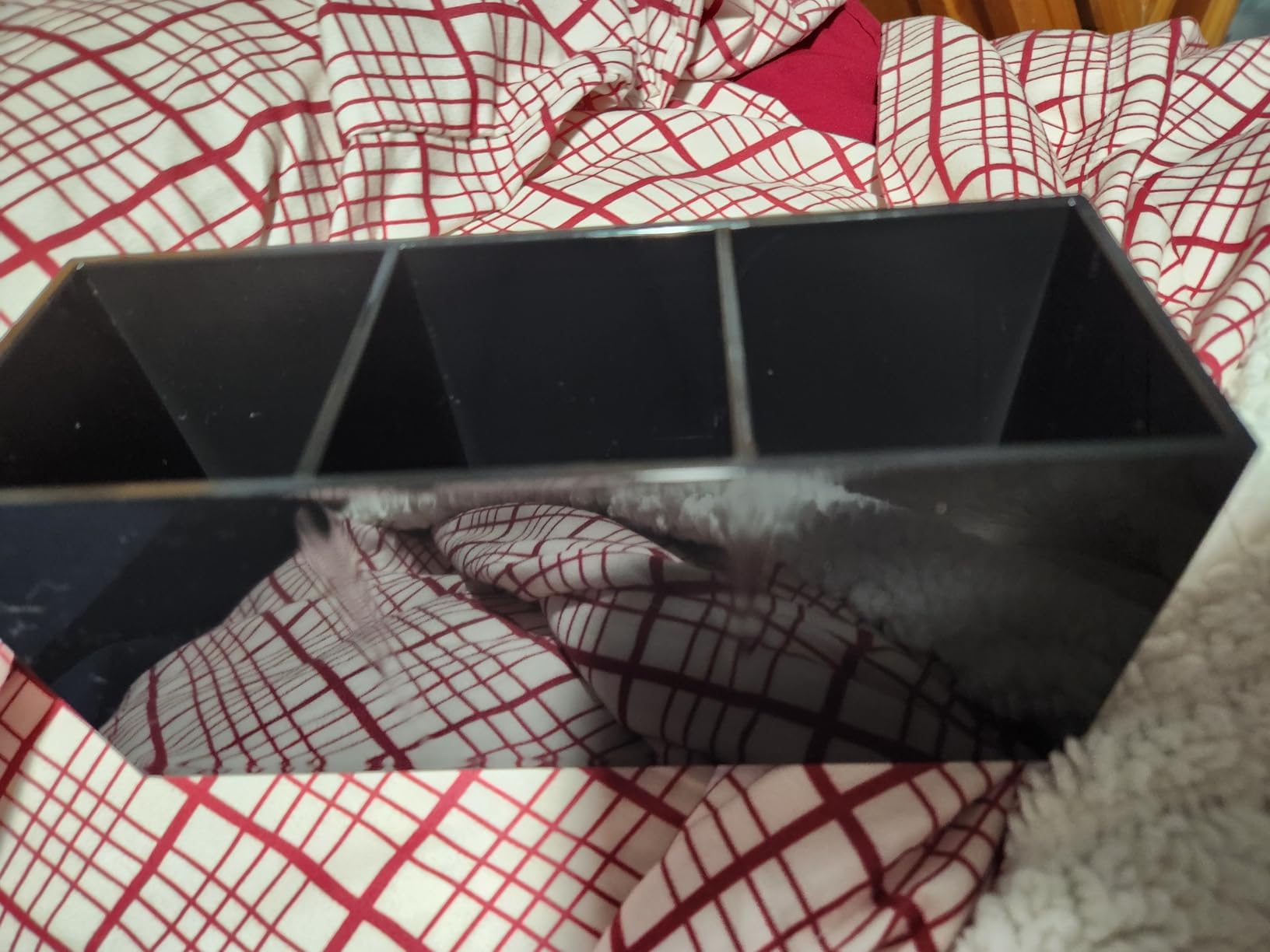 Weiai Black Makeup Brush Holder Organizer, 3 Slot Acrylic Cosmetics Brushes Storage Solution customer photo 1