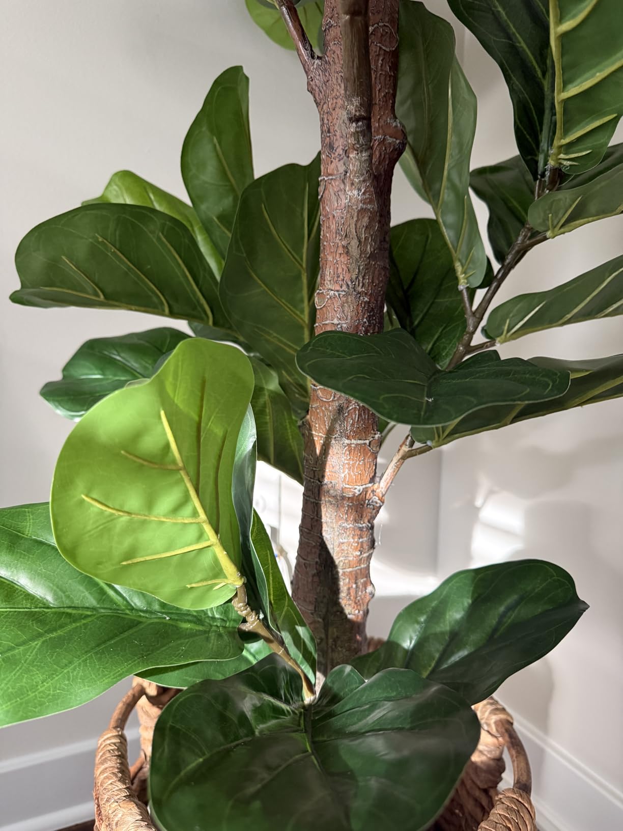 Aveyas 54'' Tall Large Artificial Monstera Deliciosa Plants, 4.5 Feet Faux Swiss Cheese Floor Plants Fake Tropical Silk Tree with Pot for Indoor Outdoor Office House Living Room Home Decor customer photo 1