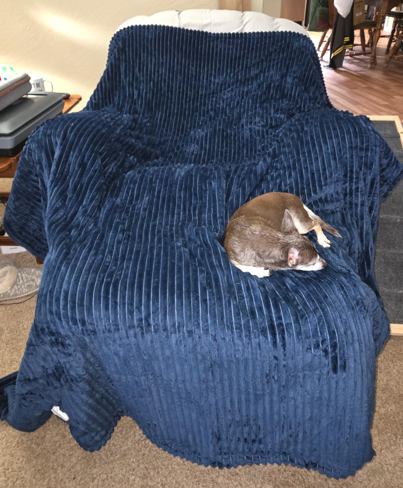 Tefici Heated Blanket Throw,Ultra Soft 2-Layer Flannel Electric Blanket customer photo 2