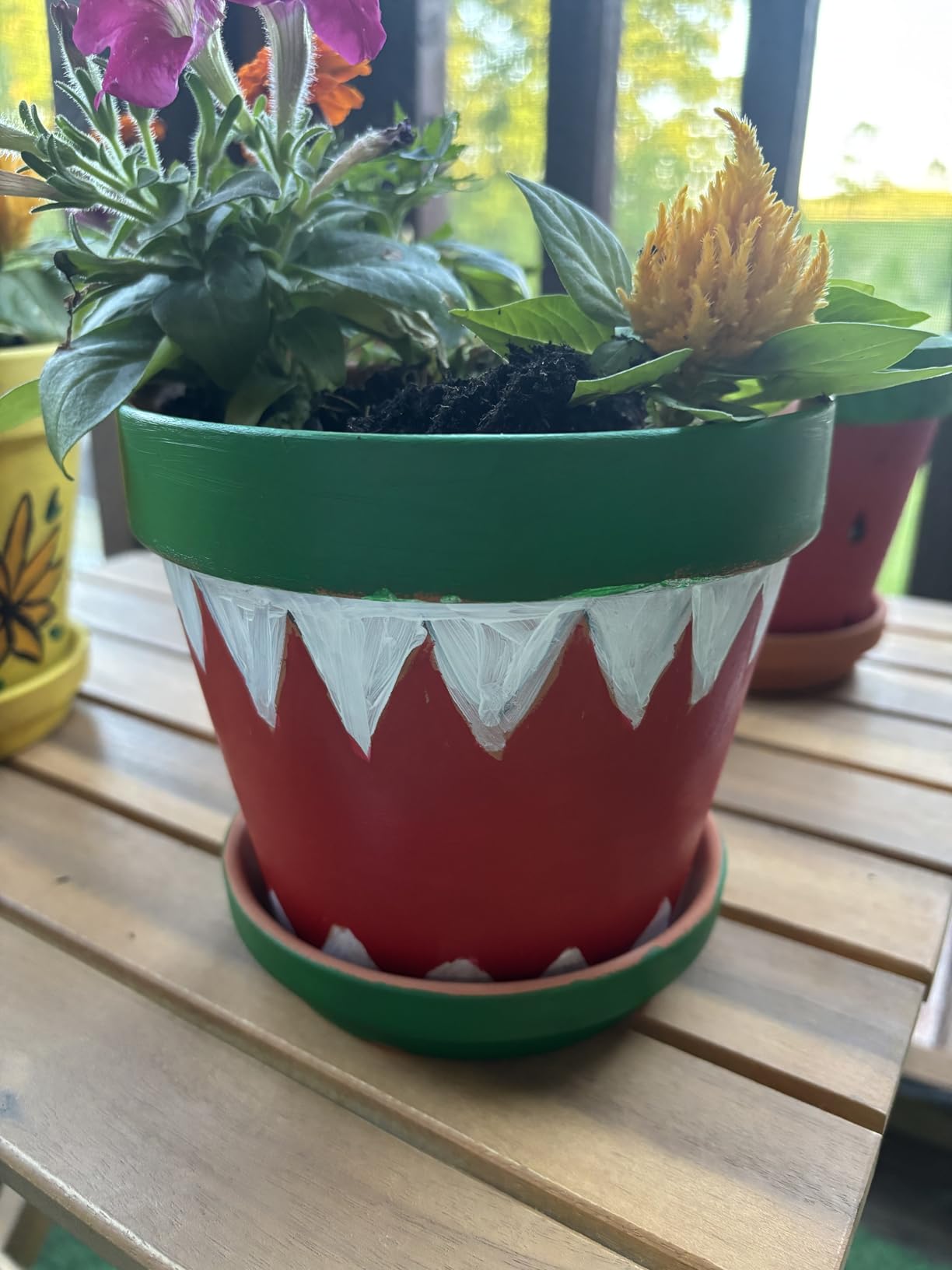 Yishang Large Terra Cotta Pots with Saucer- 4 Pack Large 6'' Terra Cotta Plant Pot with Drainage Hole, Flower Pot with Tray, Terracotta Pot for Indoor Outdoor Plant customer photo 1