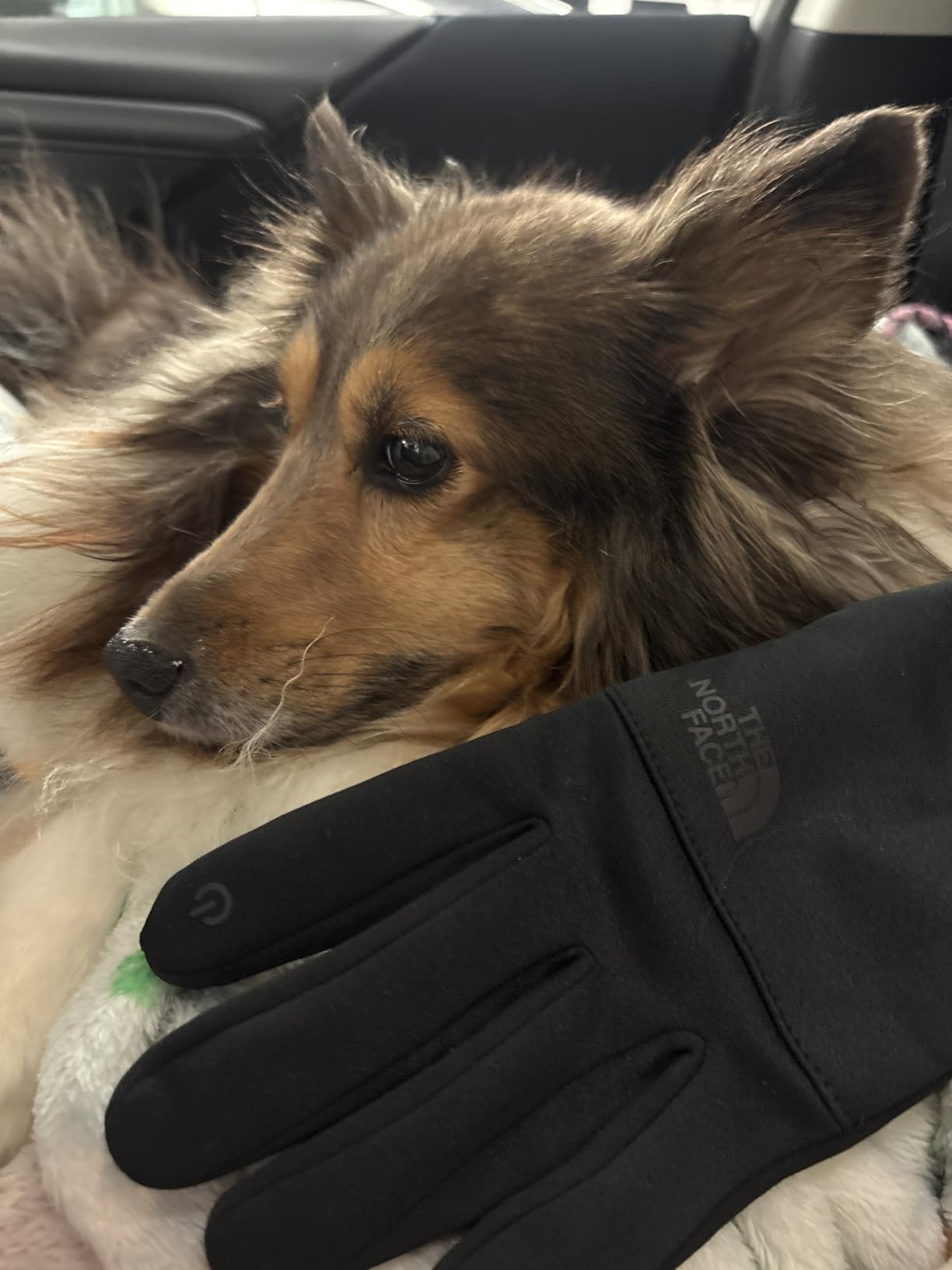 THE NORTH FACE Etip Fleece Recycled Gloves | Touchscreen Compatible Gear for Men & Women, Hand Warming Winter Essential customer photo 2