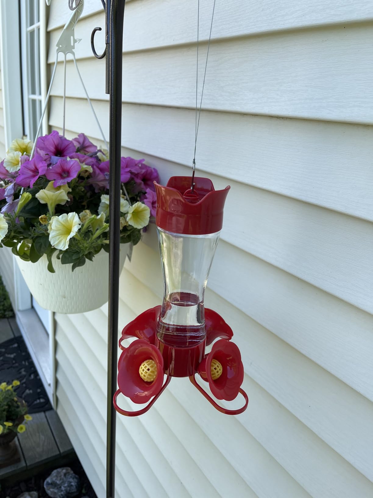 Perky-Pet Glass Hummingbird Feeders for Outdoors, 8 oz Nectar Capacity | Ant Moat, Bee Guards, & Perches, Wide-Mouth Bottle for Easy Filling & Cleaning, Hanging Bird Feeder, 203CPBN-2 (Pack of 2) customer photo 1