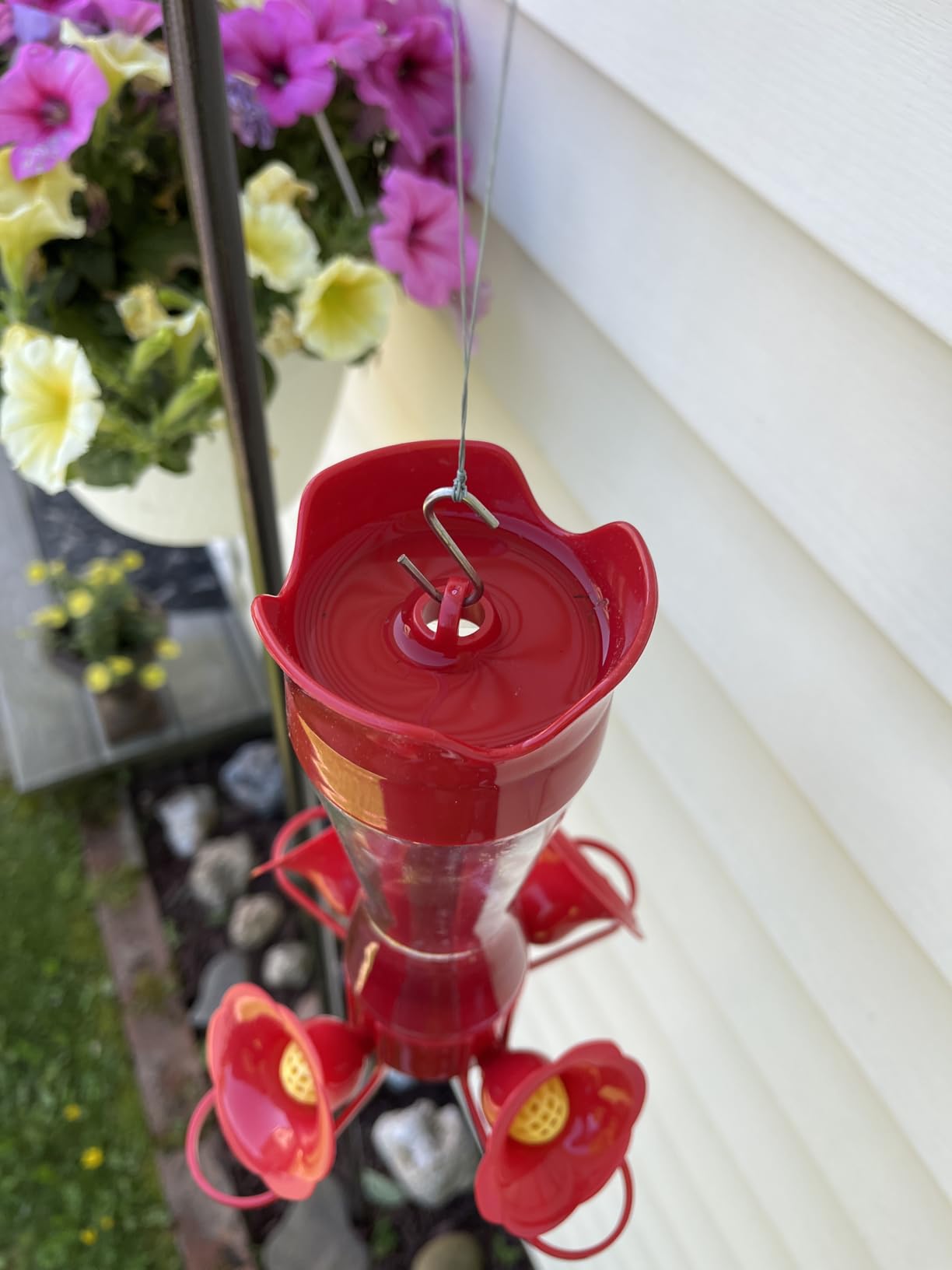 Perky-Pet Glass Hummingbird Feeders for Outdoors, 8 oz Nectar Capacity | Ant Moat, Bee Guards, & Perches, Wide-Mouth Bottle for Easy Filling & Cleaning, Hanging Bird Feeder, 203CPBN-2 (Pack of 2) customer photo 2