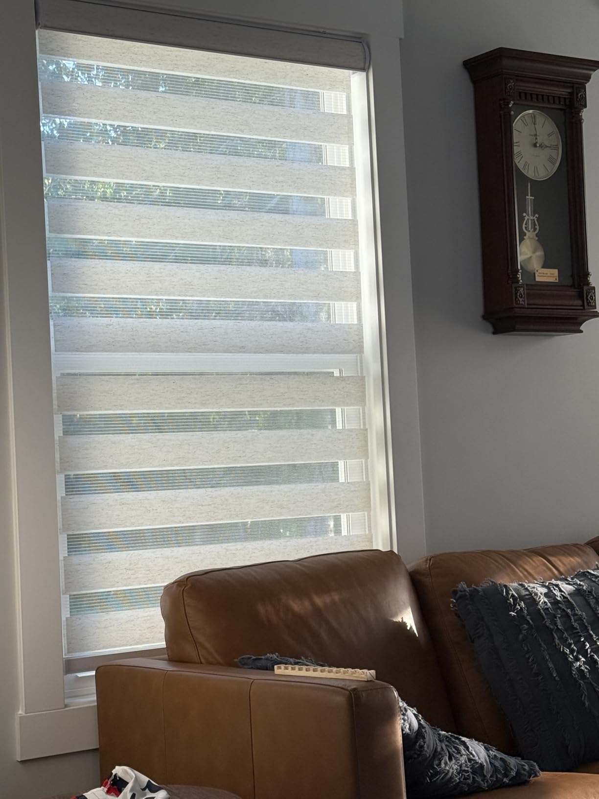 CHICOLOGY Zebra Blinds Cordless, Light Filtering, White Shade, 35W x 72H customer photo 1