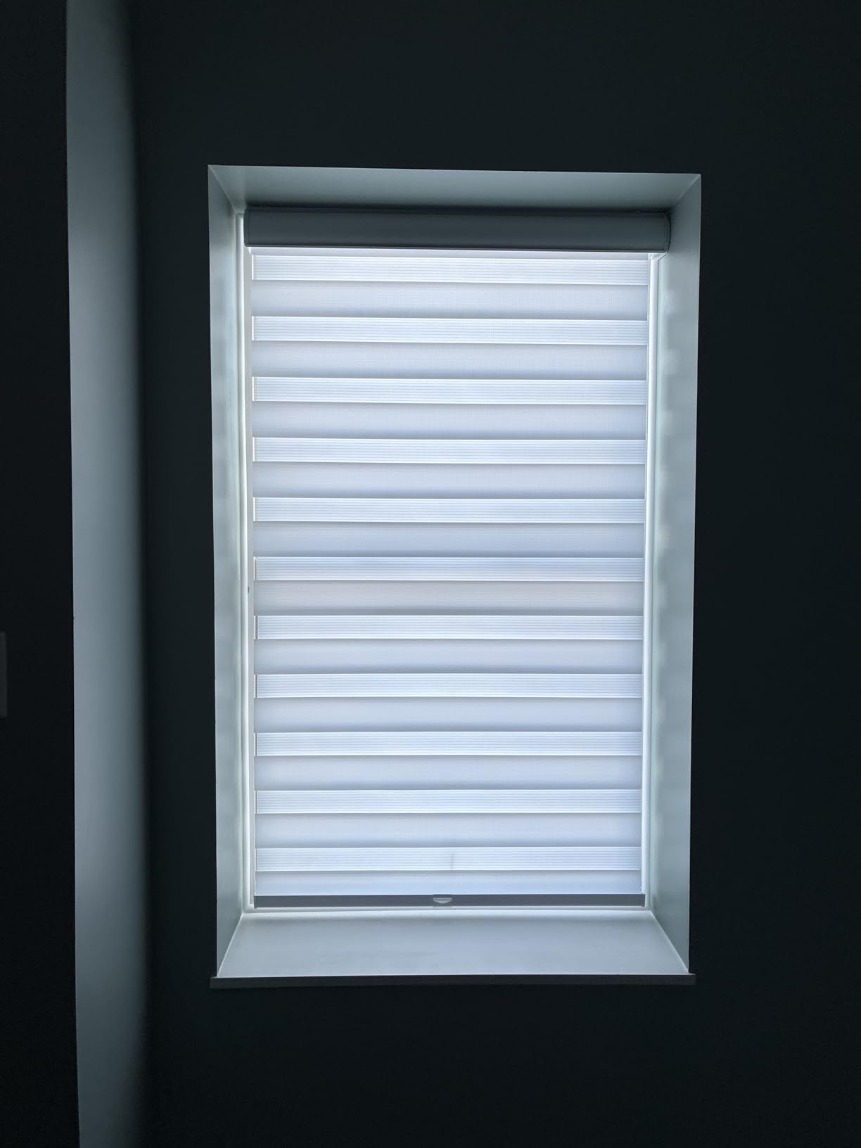 CHICOLOGY Zebra Blinds Cordless, Light Filtering, White Shade, 35W x 72H customer photo 2