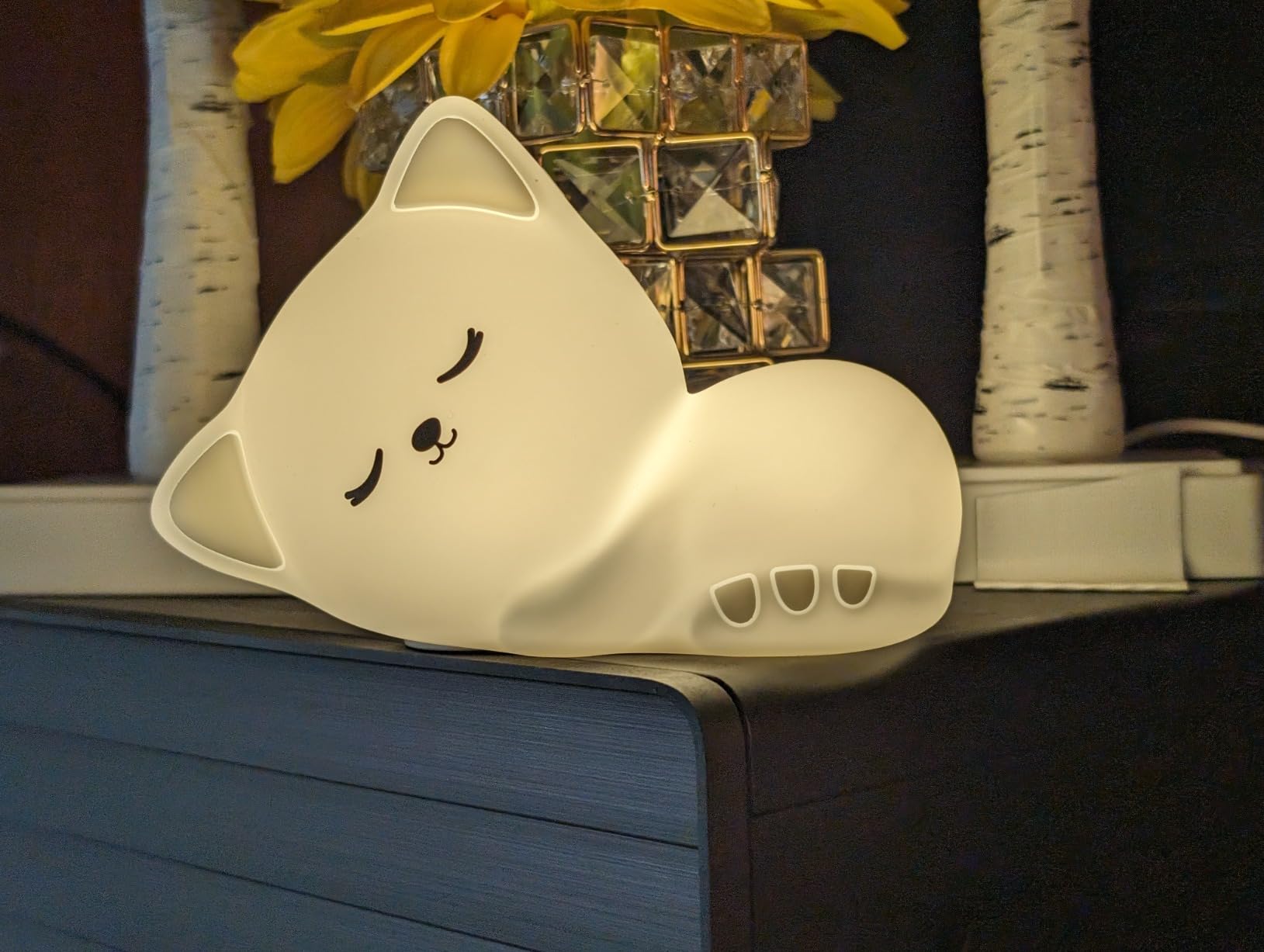 Cat Night Light for Kids 16 Colors, Silicone Squishy Girls Cat Themed Gifts customer photo 1