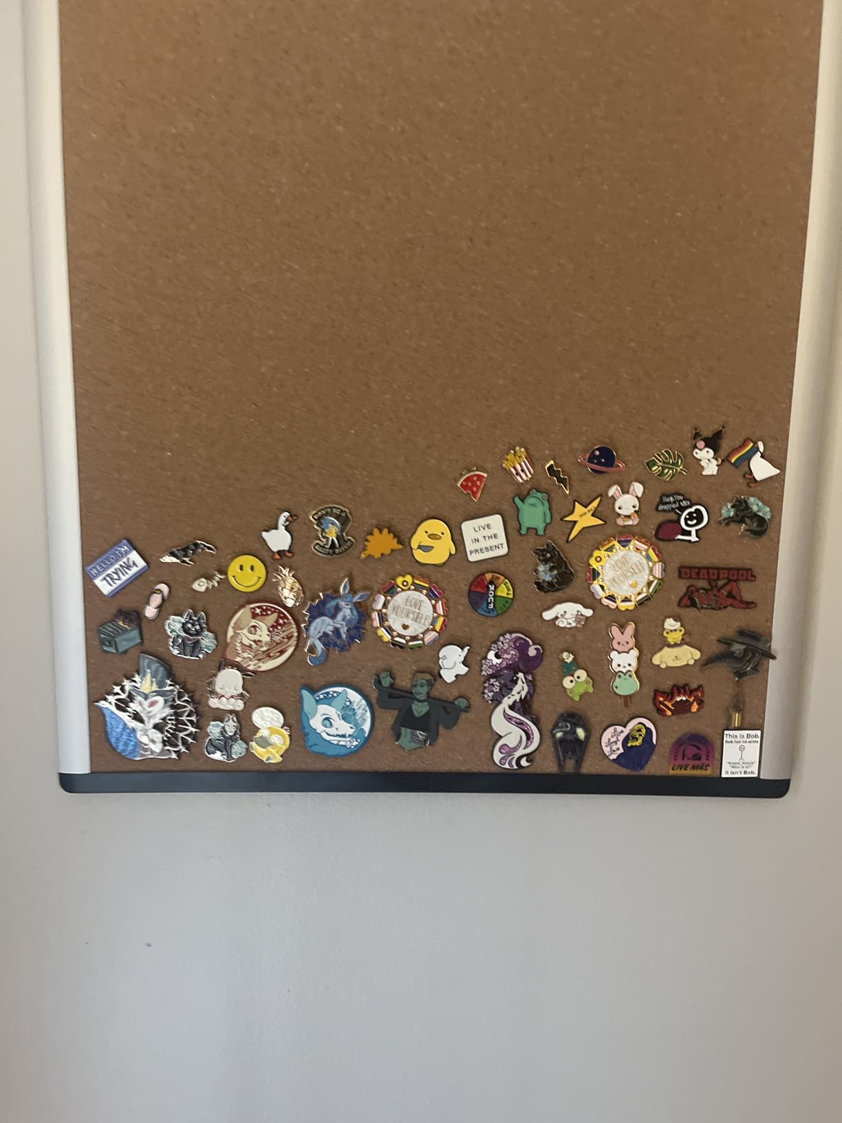 Amazon Basics Cork Bulletin Board, 23