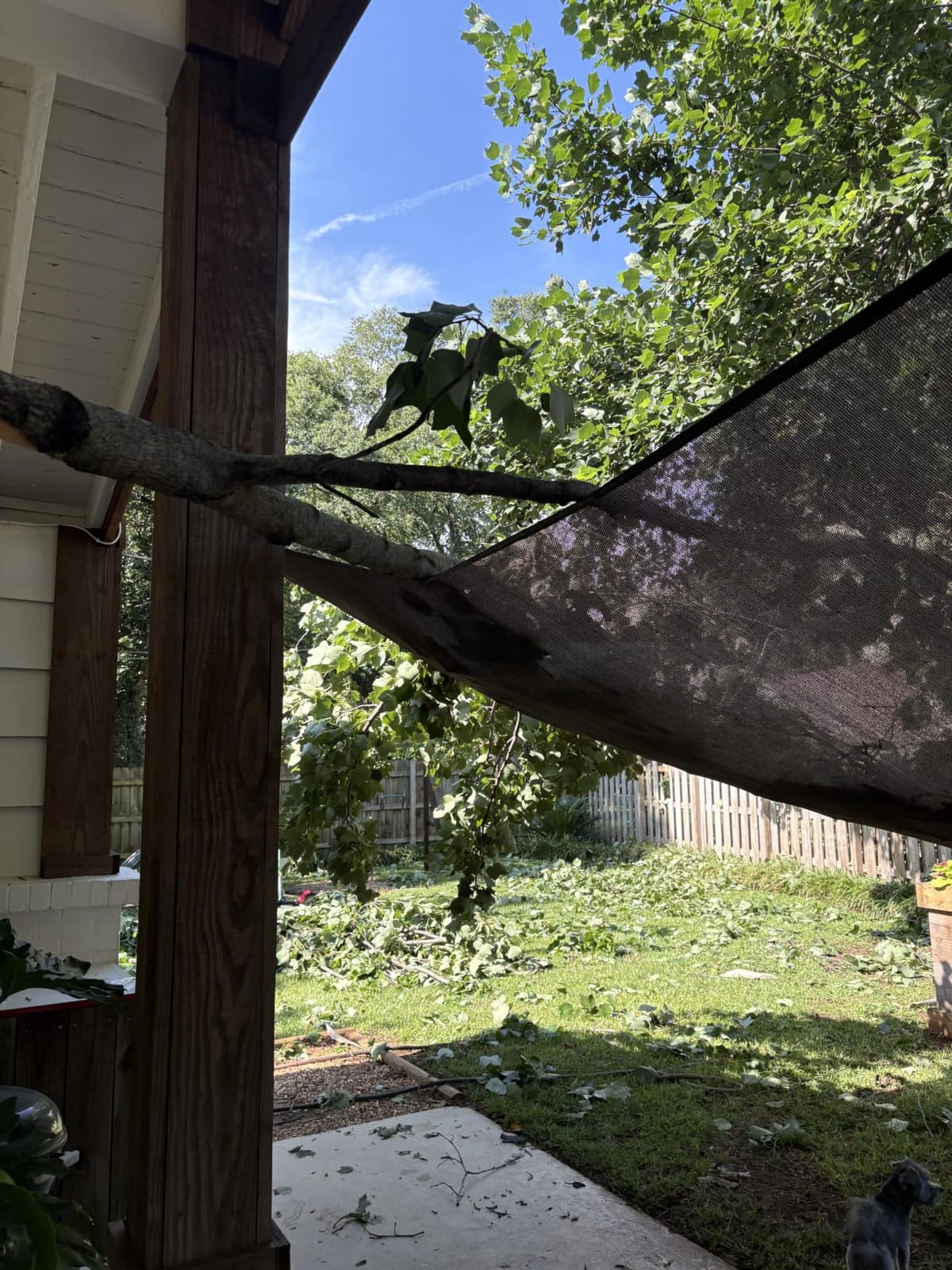 SUNLAX Large Sun Shade Sail 16' x 20' Dark Grey Rectangle Outdoor Canopy customer photo 1