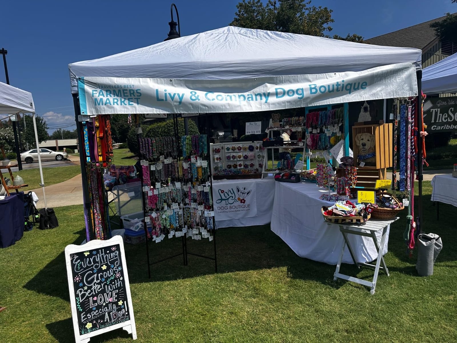 Best Choice Products 10x10ft Pop Up Canopy Tent, Outdoor Shade, 1 Person 1 Minute Set Up, Carry Case, 4 Weight Bags - Gray customer photo 1