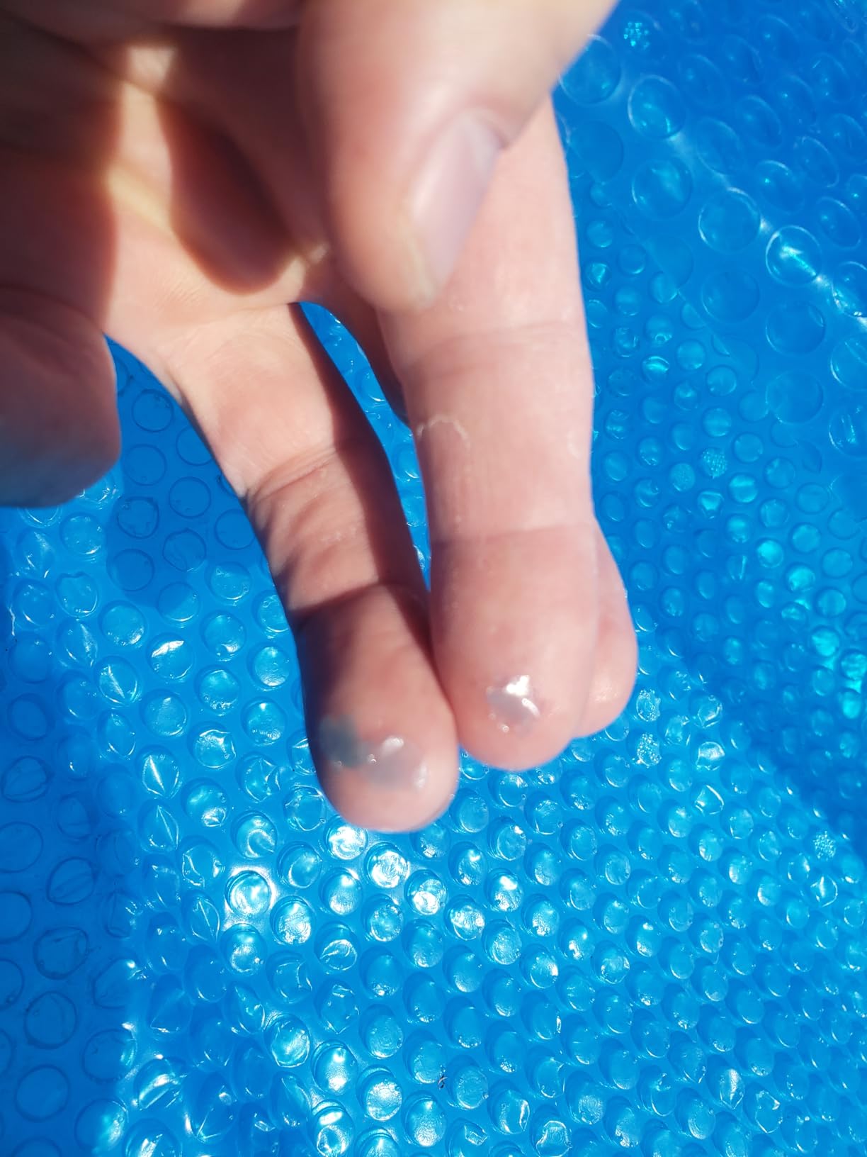 Doheny's Clear-Tek Micro Bubble Solar Pool Cover for Above Ground Swimming Pools | Increase Solar Energy Absorption, Retain Heat, Reduce Evaporation, Reduce Heat Loss & Save, 24 ft Round Blue 1600 customer photo 2