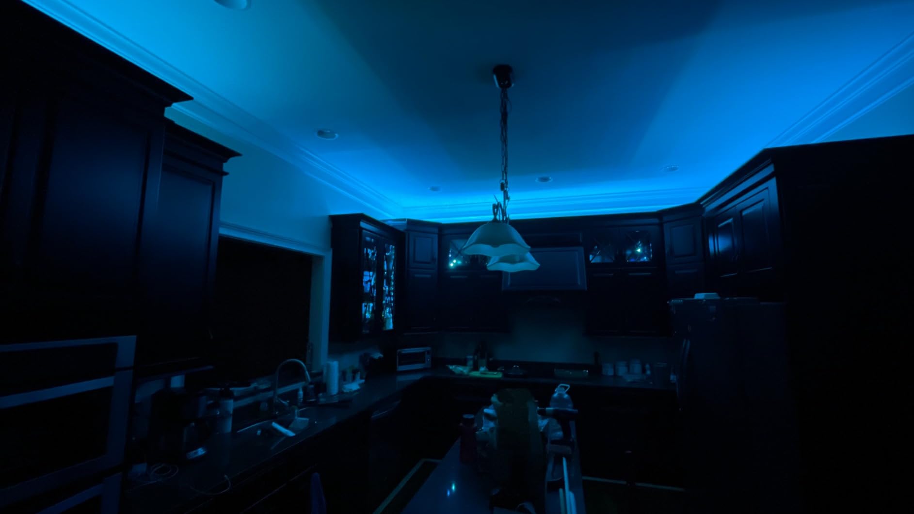 Tenmiro 65.6ft Led Strip Lights, Ultra Long RGB Color Changing LED Light Strips Kit with 44 Keys Ir Remote Led Lights for Bedroom, Kitchen, Home Decoration customer photo 2