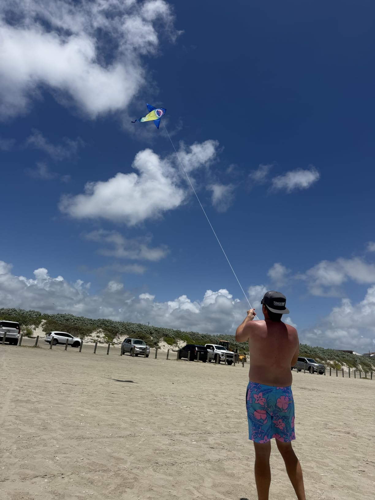 HONBO Large Shark Kites for Kids & Adults, Easy to Fly, Beginner Kite for Boys & Girls for Outdoor Game, Beach Trip, and 60 Meters String for Summer customer photo 1