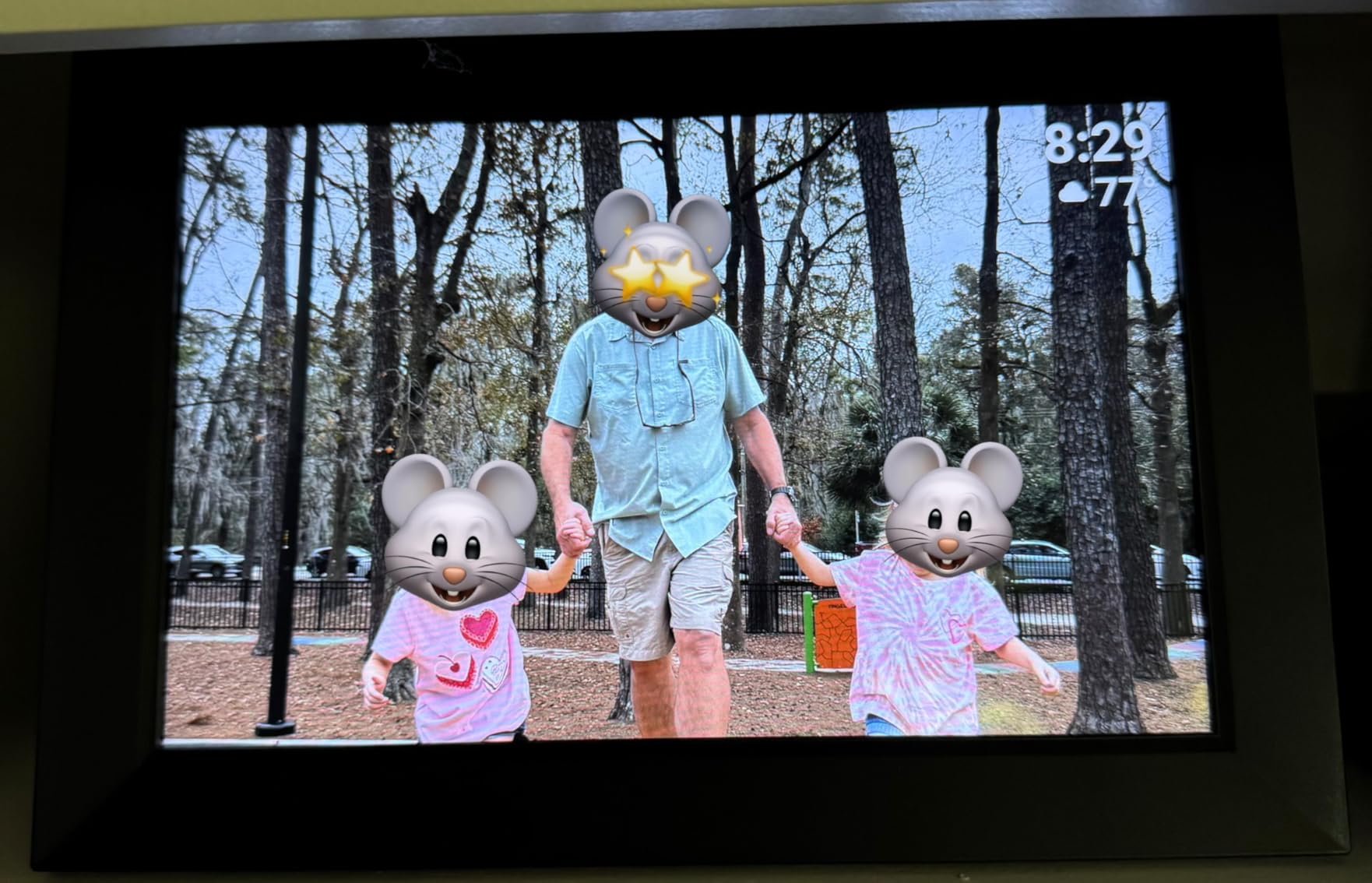 BIGASUO Digital Picture Frame, 10.1