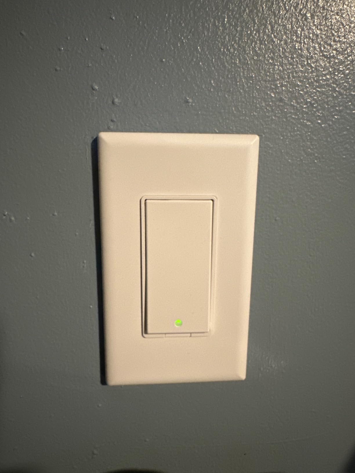 meross Smart Light Switch Single Pole, Works with Apple HomeKit, 2 Pack customer photo 1