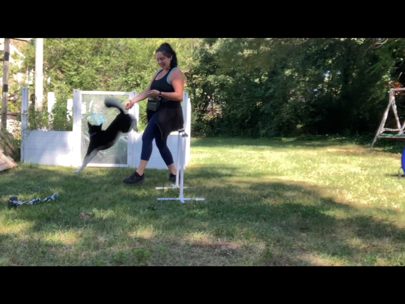 Better Sporting Dogs Agility Course Backyard Set - 7pc customer photo 1