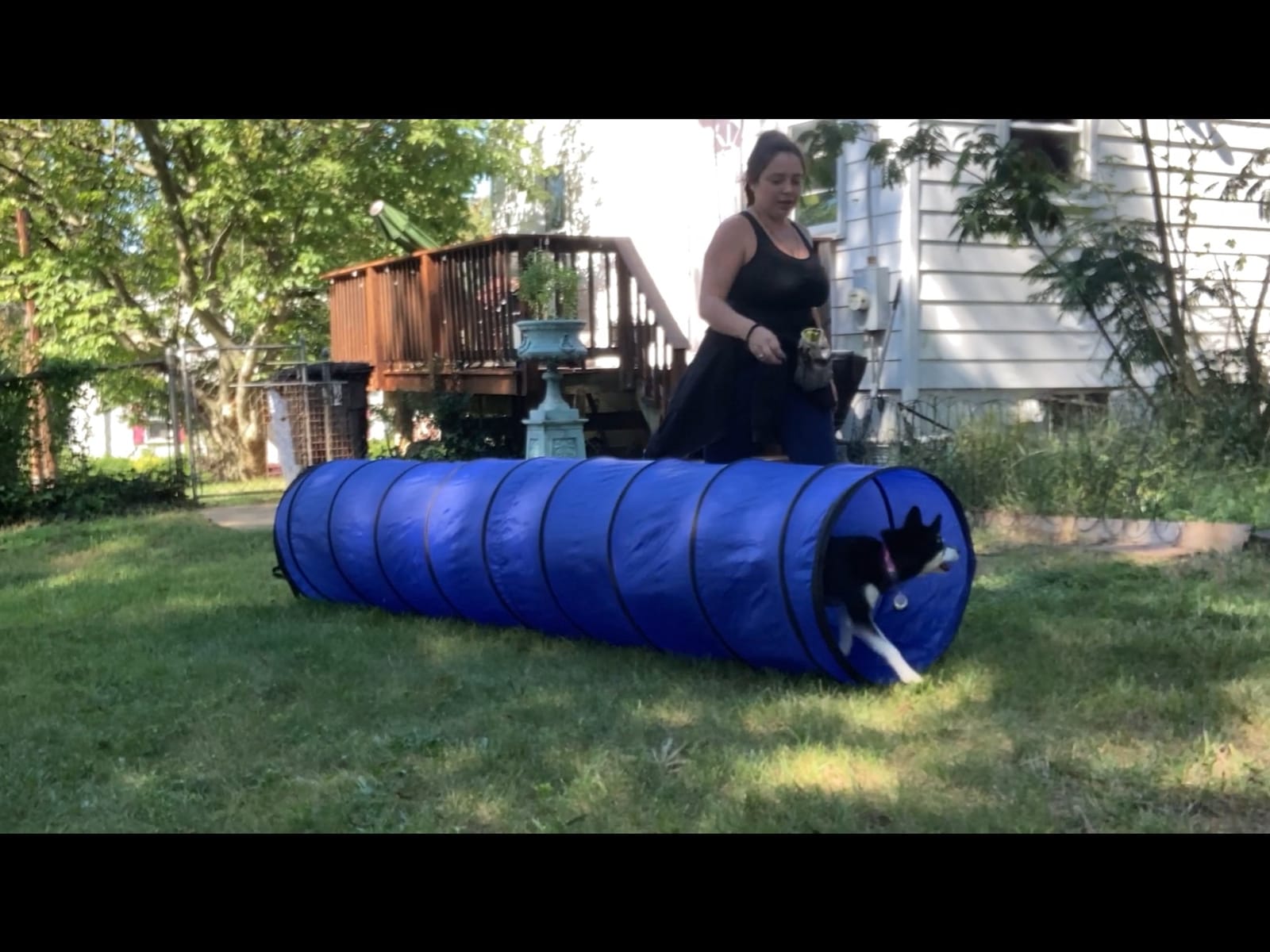 Better Sporting Dogs Agility Course Backyard Set - 7pc customer photo 2