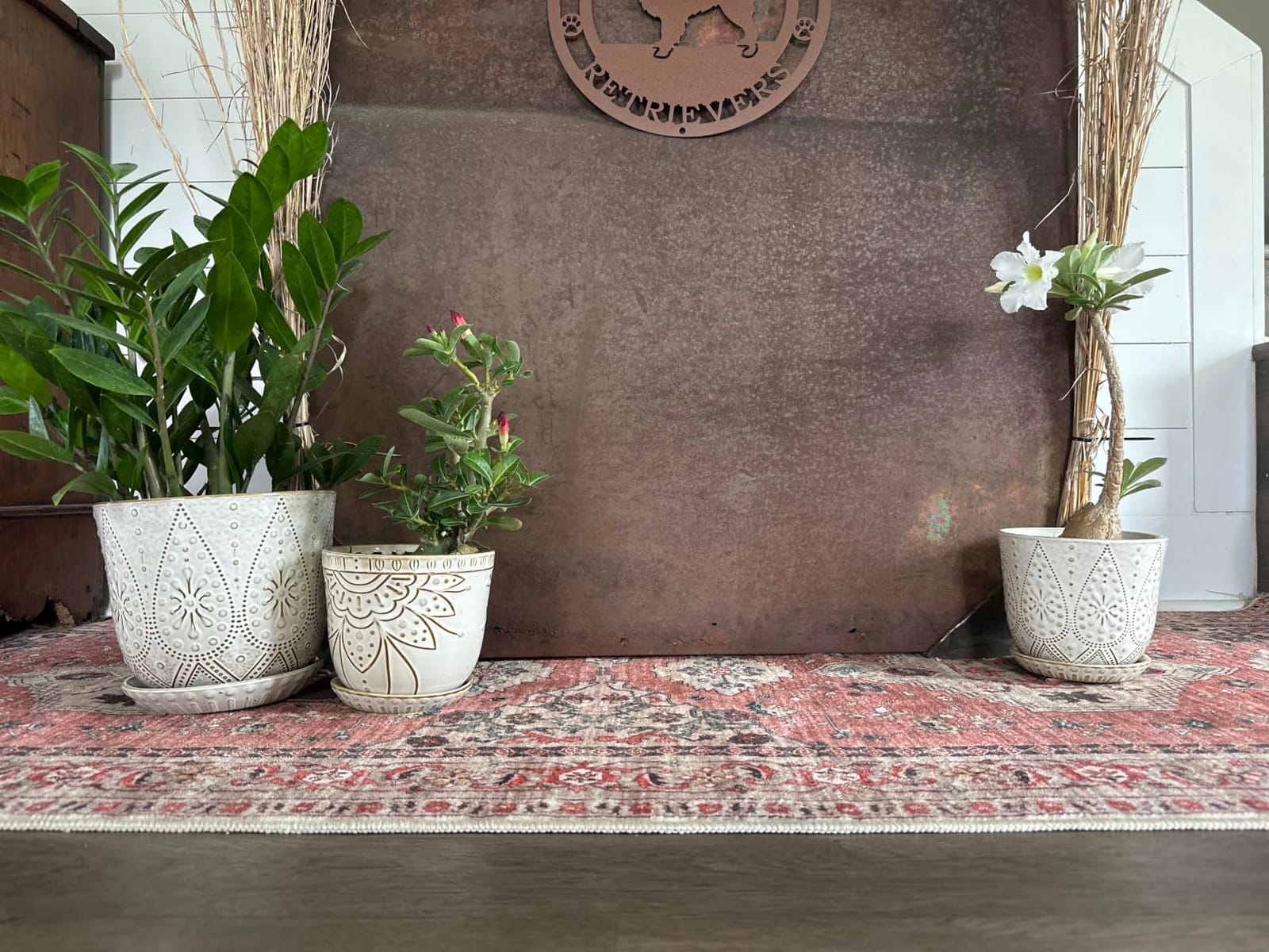 Gepege Ceramic Plant Pots, 6 Inch Indoor Planters with Drainage & Saucers customer photo 1