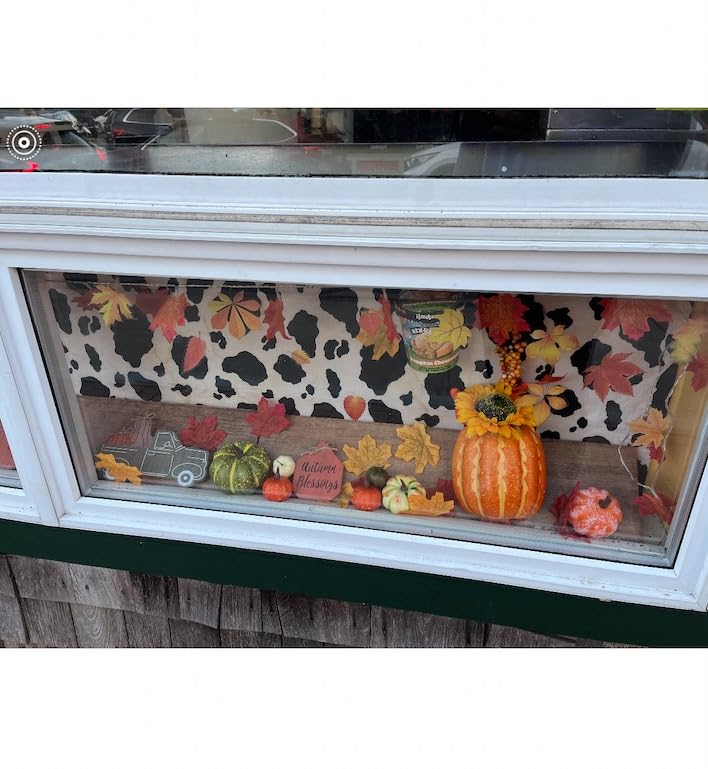 HAKACC 14 PCS Artificial Mixed Pumpkins for Decorating, Fake Pumpkins customer photo 1
