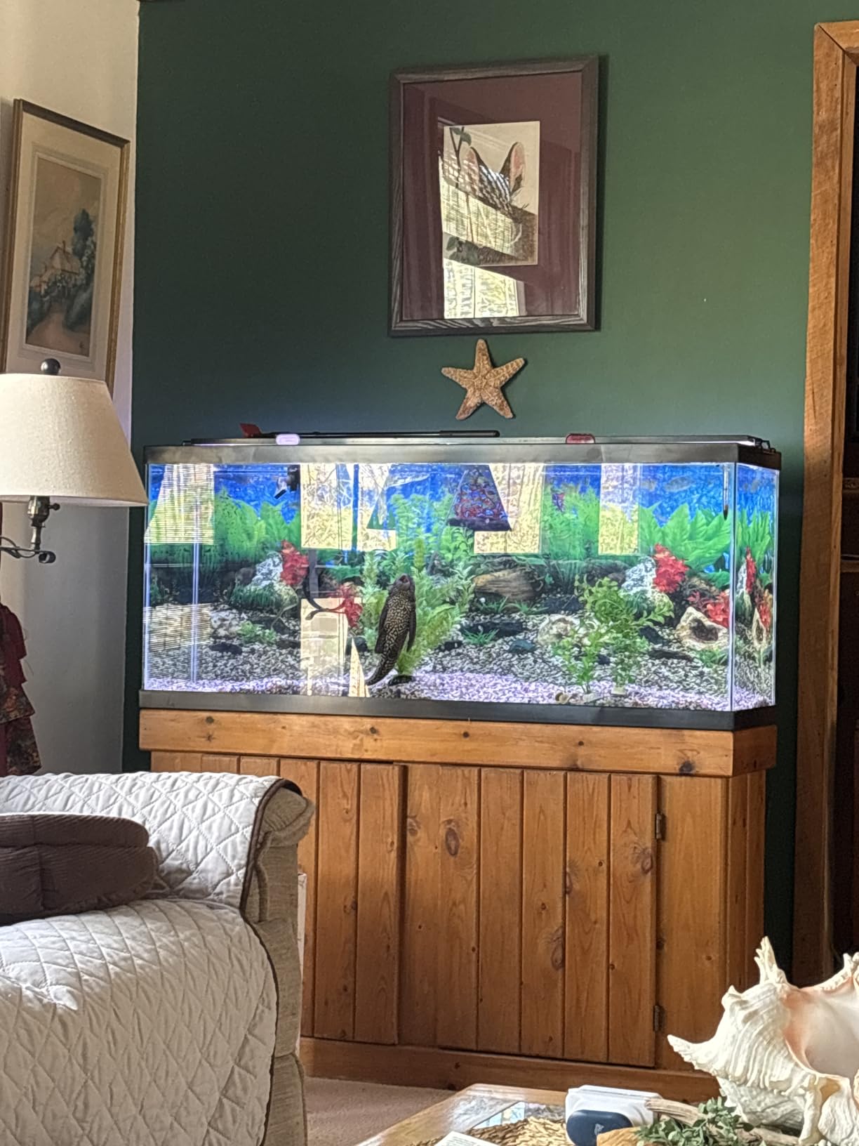 Tetra 55 Gallon Glass Aquarium, Rectangular Fish Tank | 48