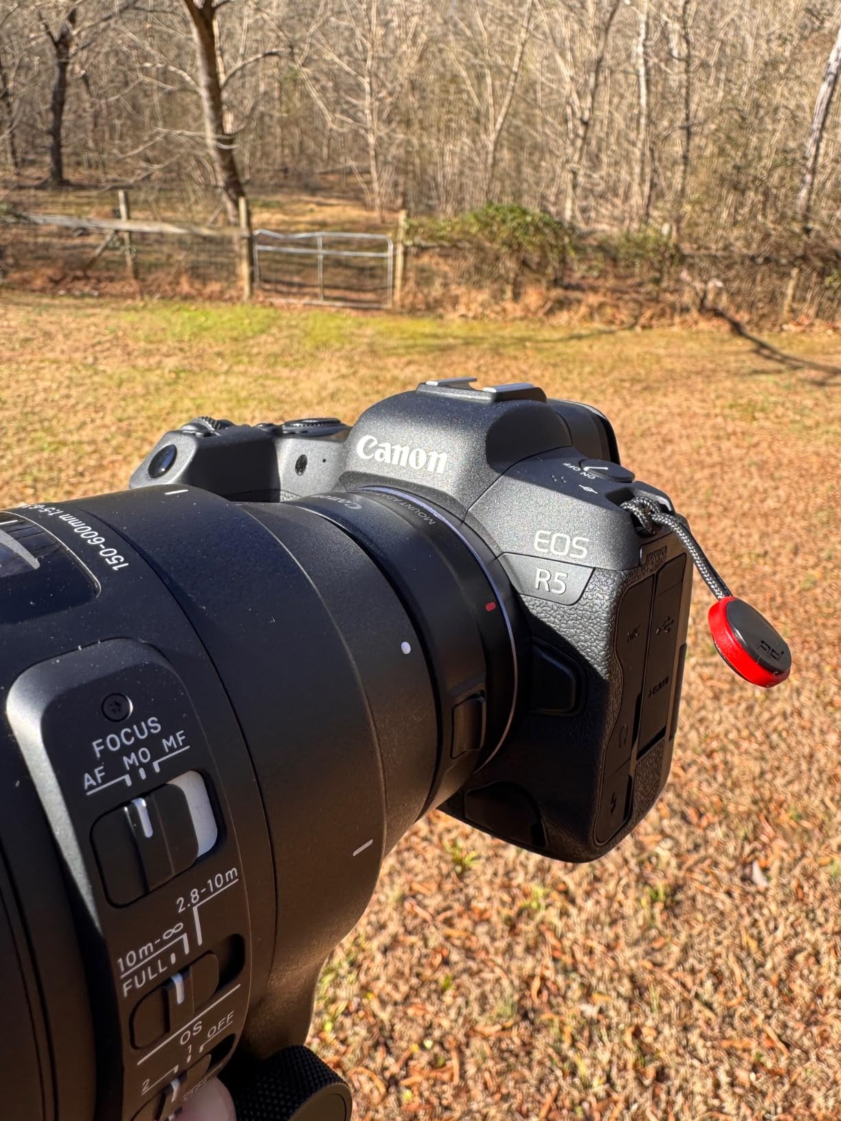 Canon EOS R5 Mirrorless Camera (Body Only), Full-Frame Hybrid Camera, 8K Video, 45 Megapixel CMOS Sensor, DIGIC X Image Processor, Up to 12 FPS, RF Mount, Black customer photo 1