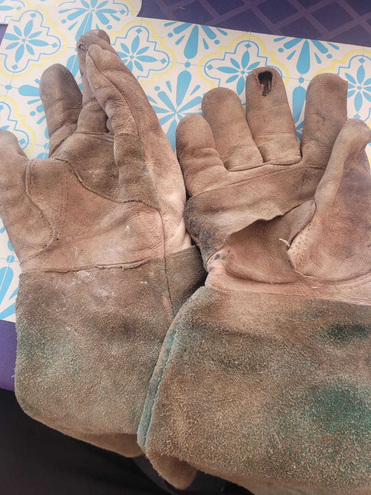 Gardening Gloves for Women Men, Long Thorn Proof Rose Pruning Glove customer photo 1
