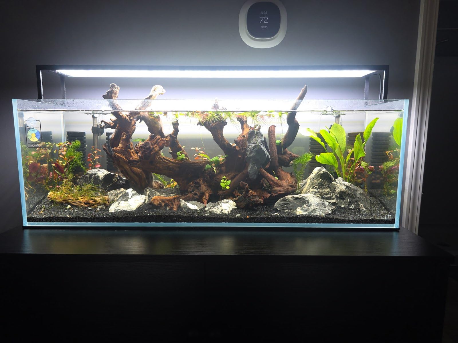 Ultum Nature Systems Ultra Clear Rimless Aquarium - Low Iron Glass Fish Tank with 45° Mitered Edges, 5mm-12mm Thick, Leveling Mat Included (5S, Shallow, 2 Gallon) customer photo 1
