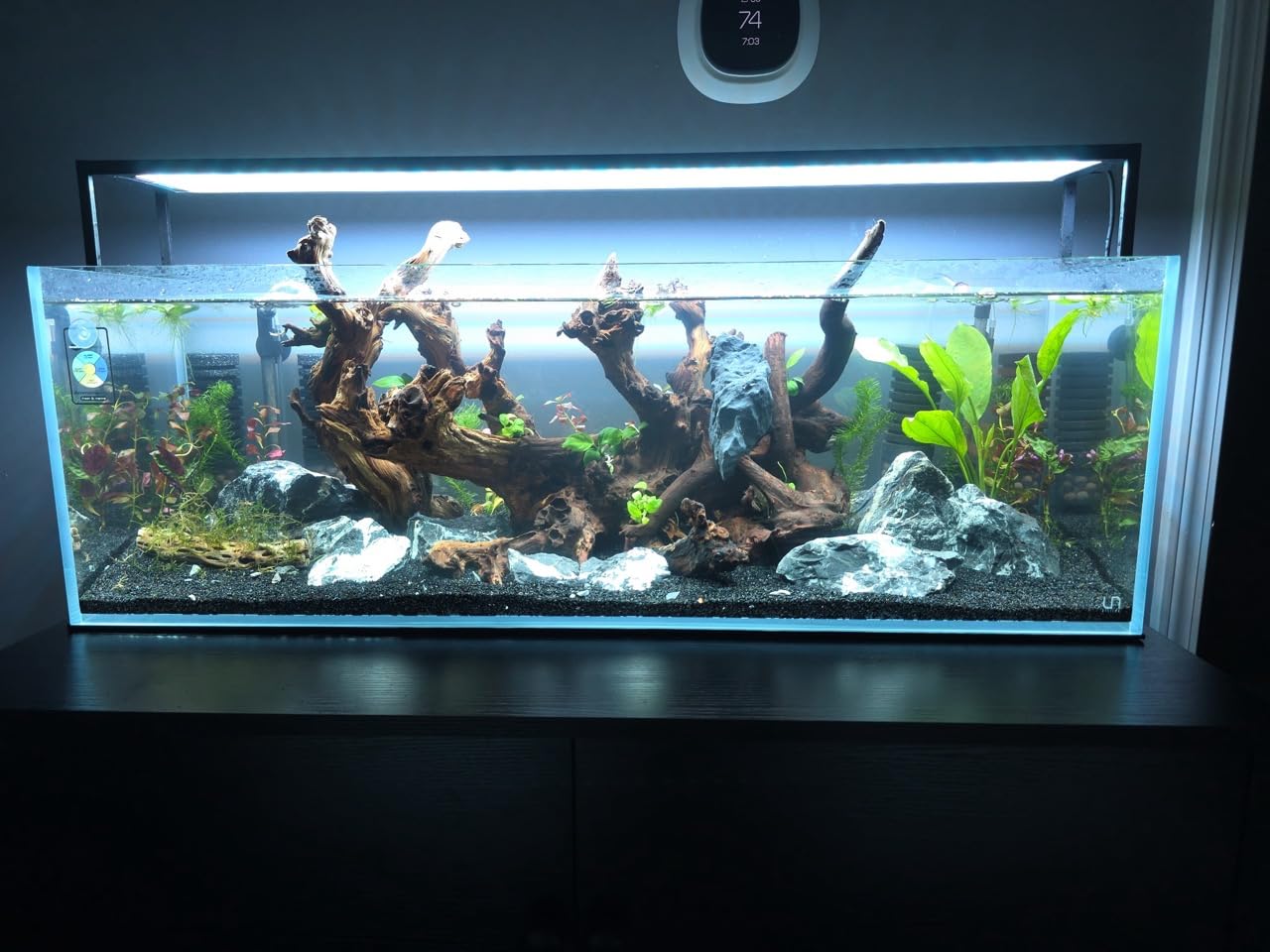 Ultum Nature Systems Ultra Clear Rimless Aquarium - Low Iron Glass Fish Tank with 45° Mitered Edges, 5mm-12mm Thick, Leveling Mat Included (5S, Shallow, 2 Gallon) customer photo 2