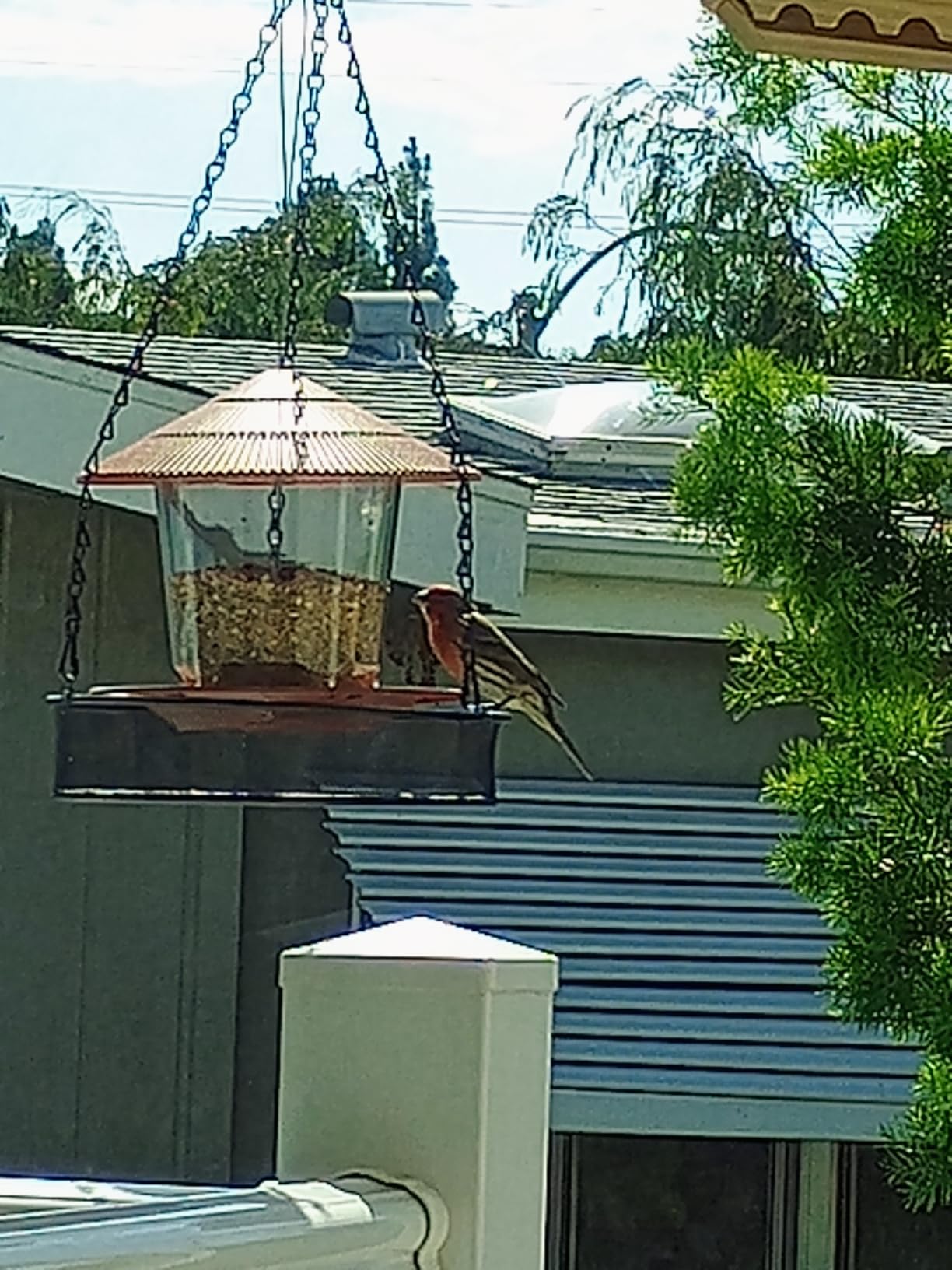 Hanizi Bird Feeder Outdoor Hanging for Wild Bird Seed, Brown customer photo 1