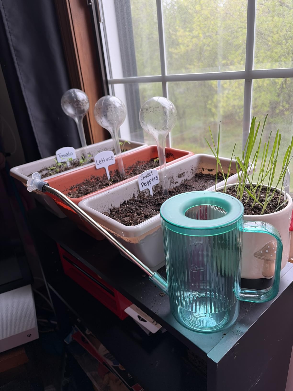 Small Watering Can Indoor Plants with Long Spout (1L, Emerald) customer photo 2