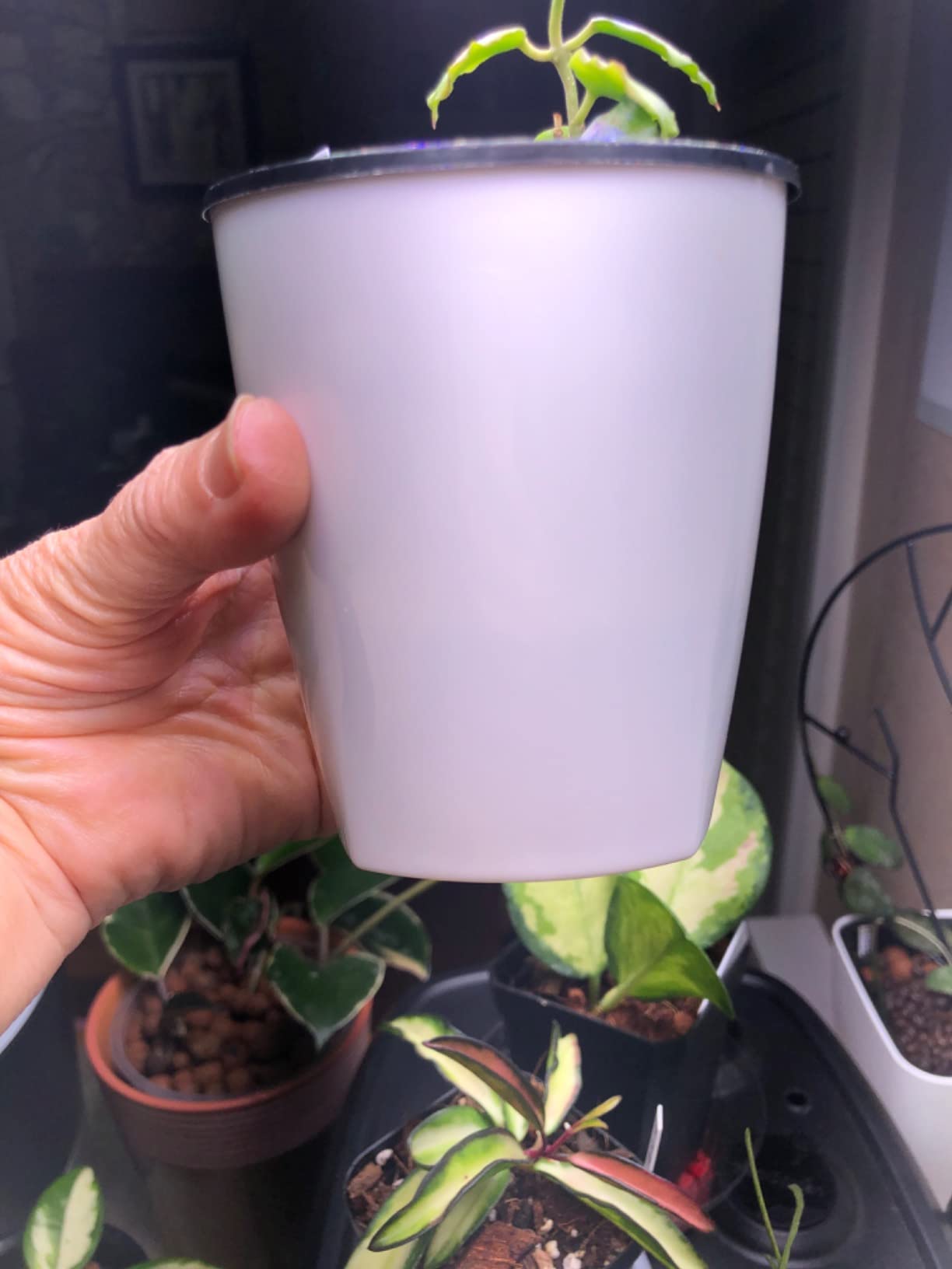 OJYUDD 8 Pack 4 Inch Self Watering Plastic Planter with Inner Pot White Flower Plant Pot,Modern Decorative Flower Pot for All House Plants,Flowers,Herbs,African Violets customer photo 2