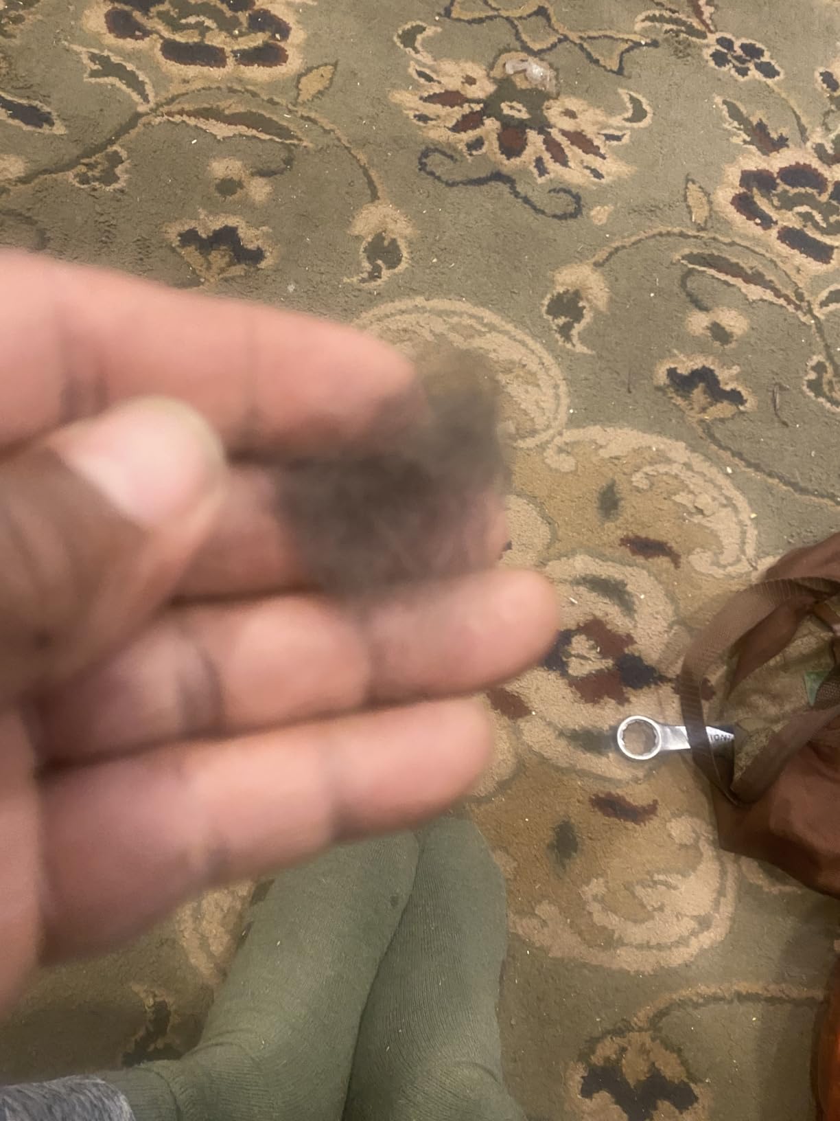Self Cleaning Slicker Brush - Cat Brush Skin-Friendly Deshedding Grooming Massaging Tool for Long & Short Haired Pets, Cat Hair Brushes Easy Removes Undercoat for Dogs Cats Rabbits - UPGRADED, Blue customer photo 2