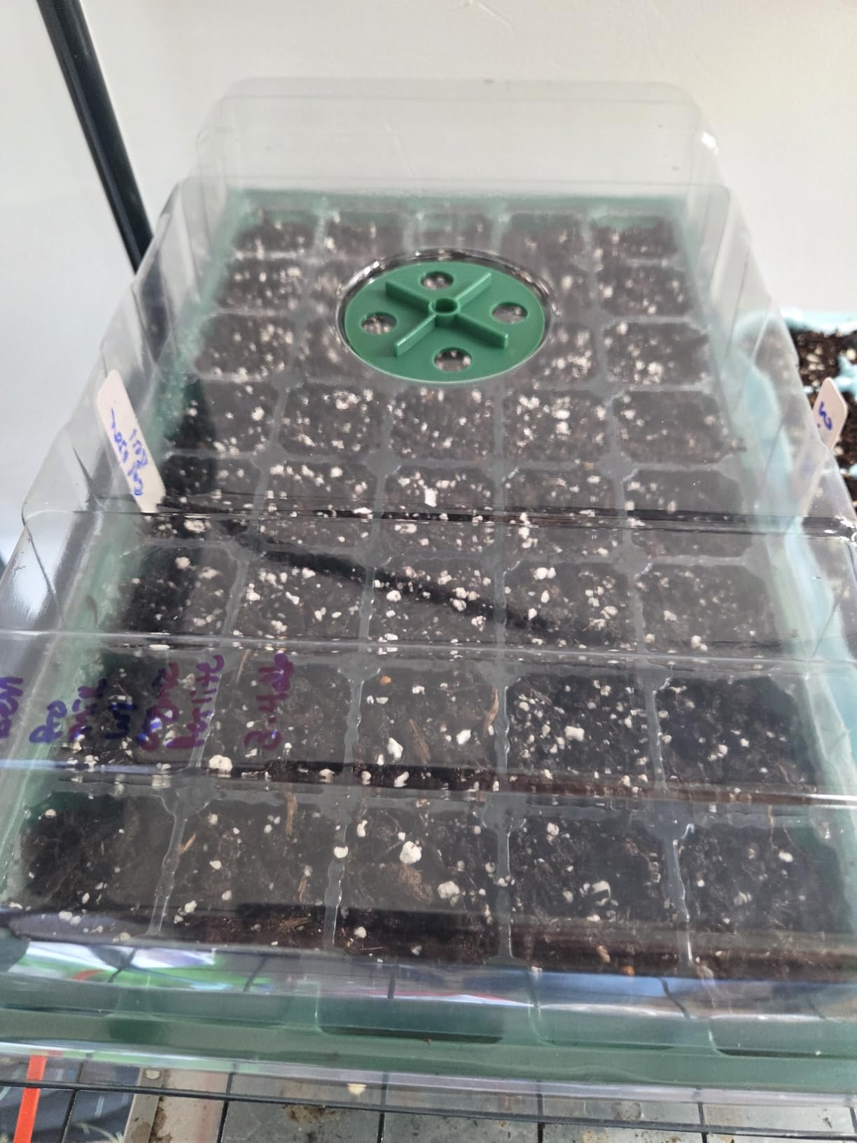 MIXC 5 Pack Seed Starter Tray, 200Cell Mini Propagator Greenhouse Grow Kit customer photo 1