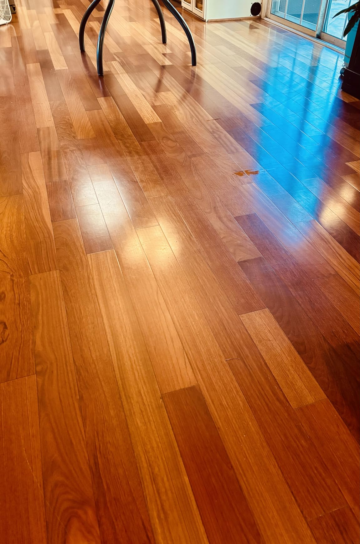 BISSELL SpinWave Hard Floor Expert Corded Spin Mop Cleaner, 20393 | Powerful electric spin mop; washable reusable pads; corded for consistent power on hard floors customer photo 1